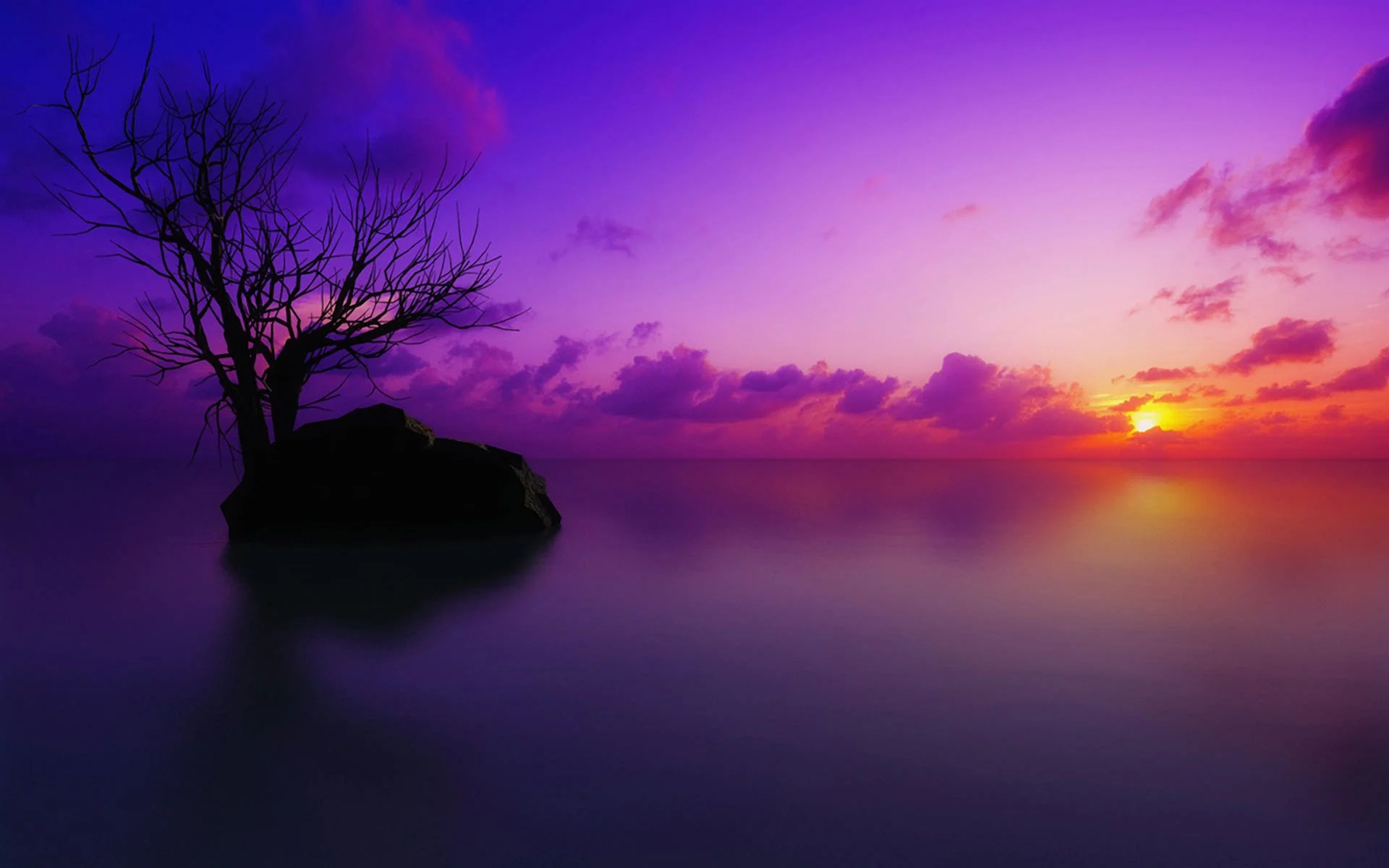Purple Landscape