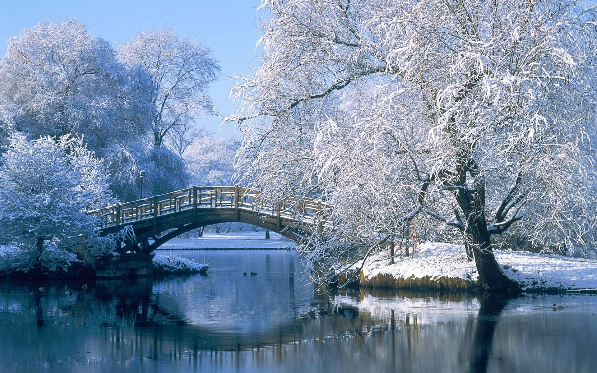 1920x1200 Winter Scenery Wallpapers Top Free Winter Scenery Backgrounds