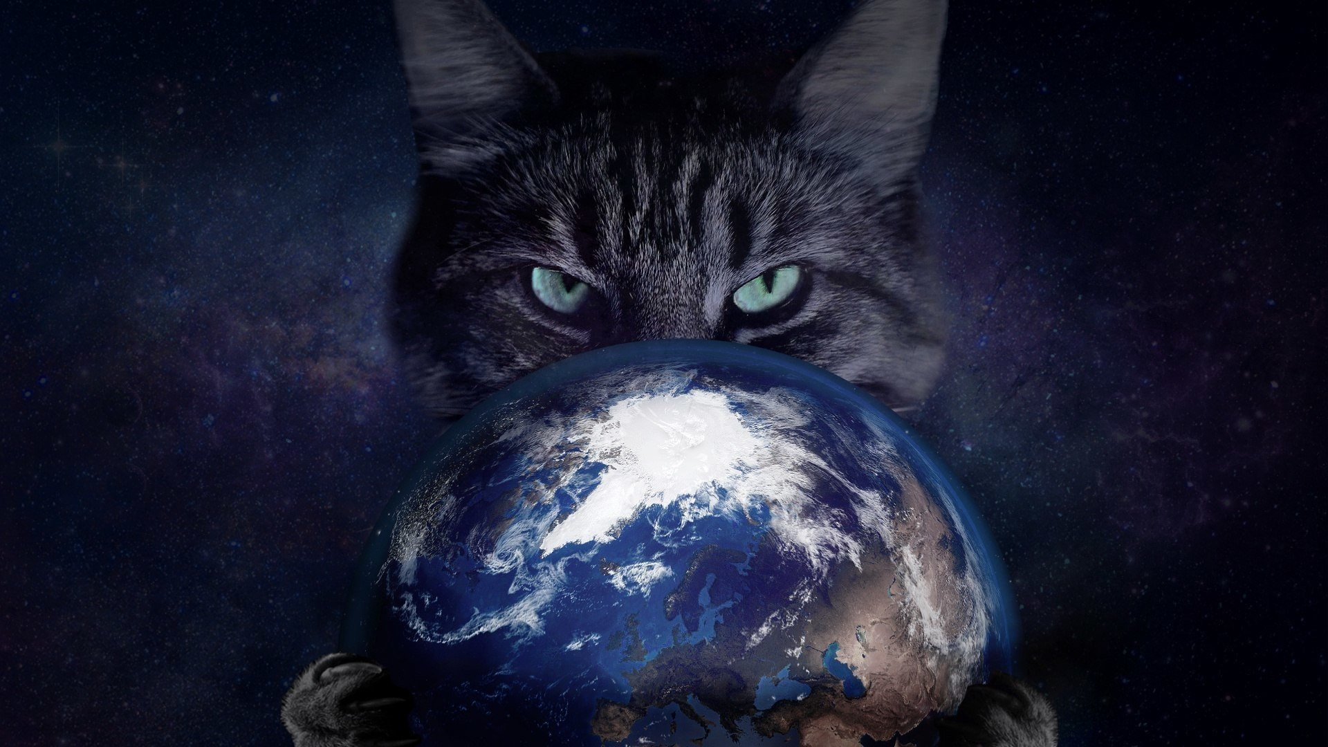 1920x1080 space, Cat, Earth HD Wallpapers / Desktop and Mobile Images \u0026 Photos