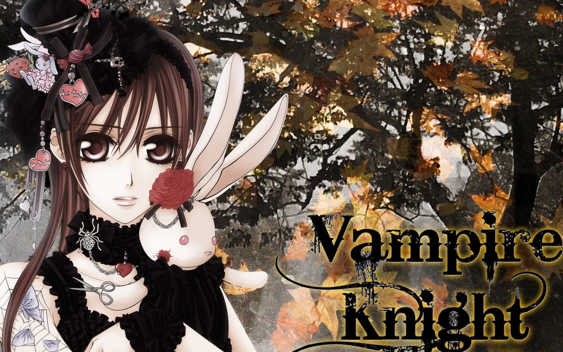 1920x1200 Vampire knight, Vampire knights, Anime