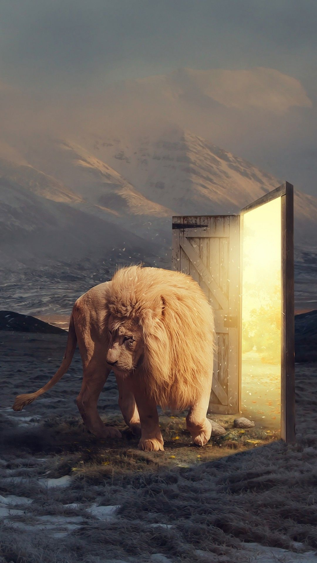 1080x1920 Narnia iPhone Wallpapers Top Free Narnia iPhone Backgrounds