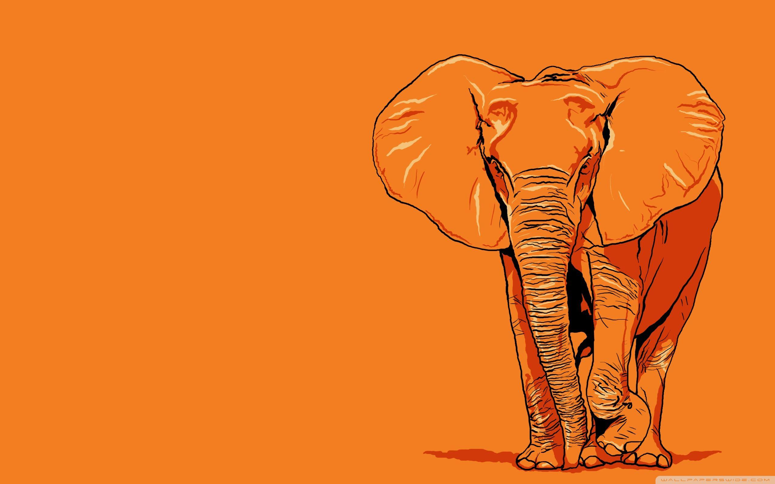 2560x1600 Elephant Art Wallpapers