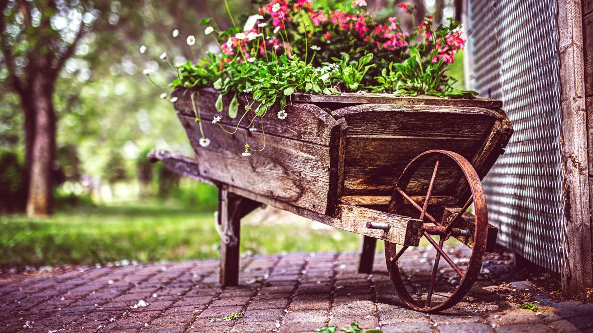 1920x1080 Vintage Flower Pot, HD Flowers, 4k Wallpapers, Images, Backgrounds, Photos and Pictures
