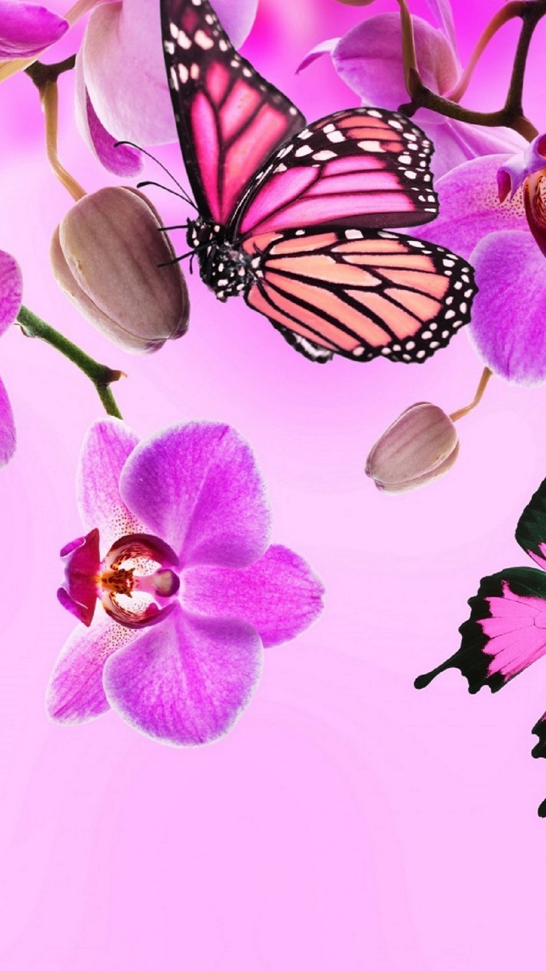 1080x1920 Pink Butterfly Wallpaper