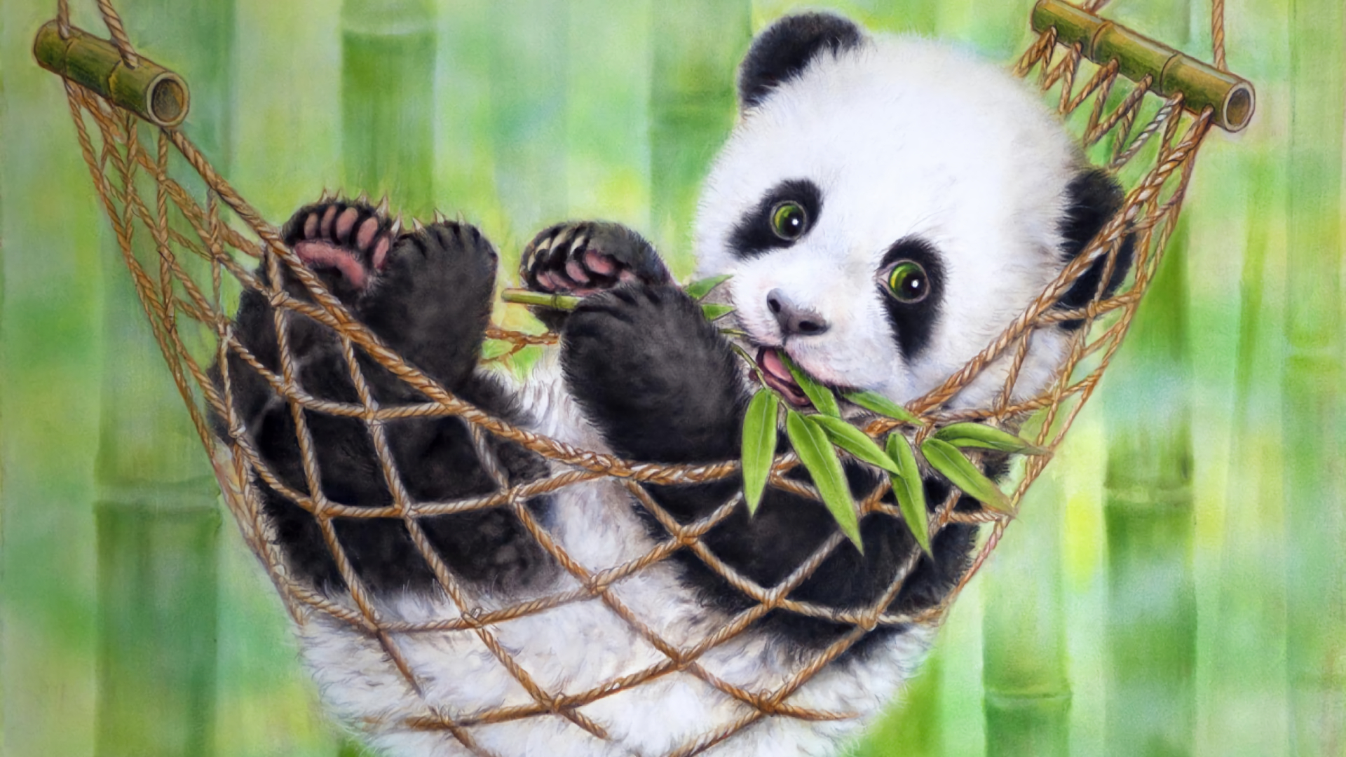 1920x1080 240+ Panda HD Wallpapers and Backgrounds