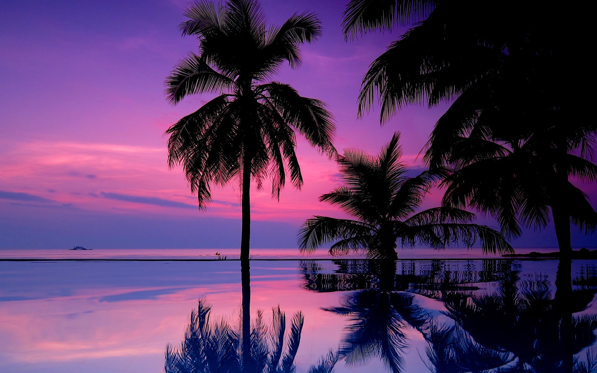 1920x1200 tropical sunset over ocean with coconut palms in the foreground