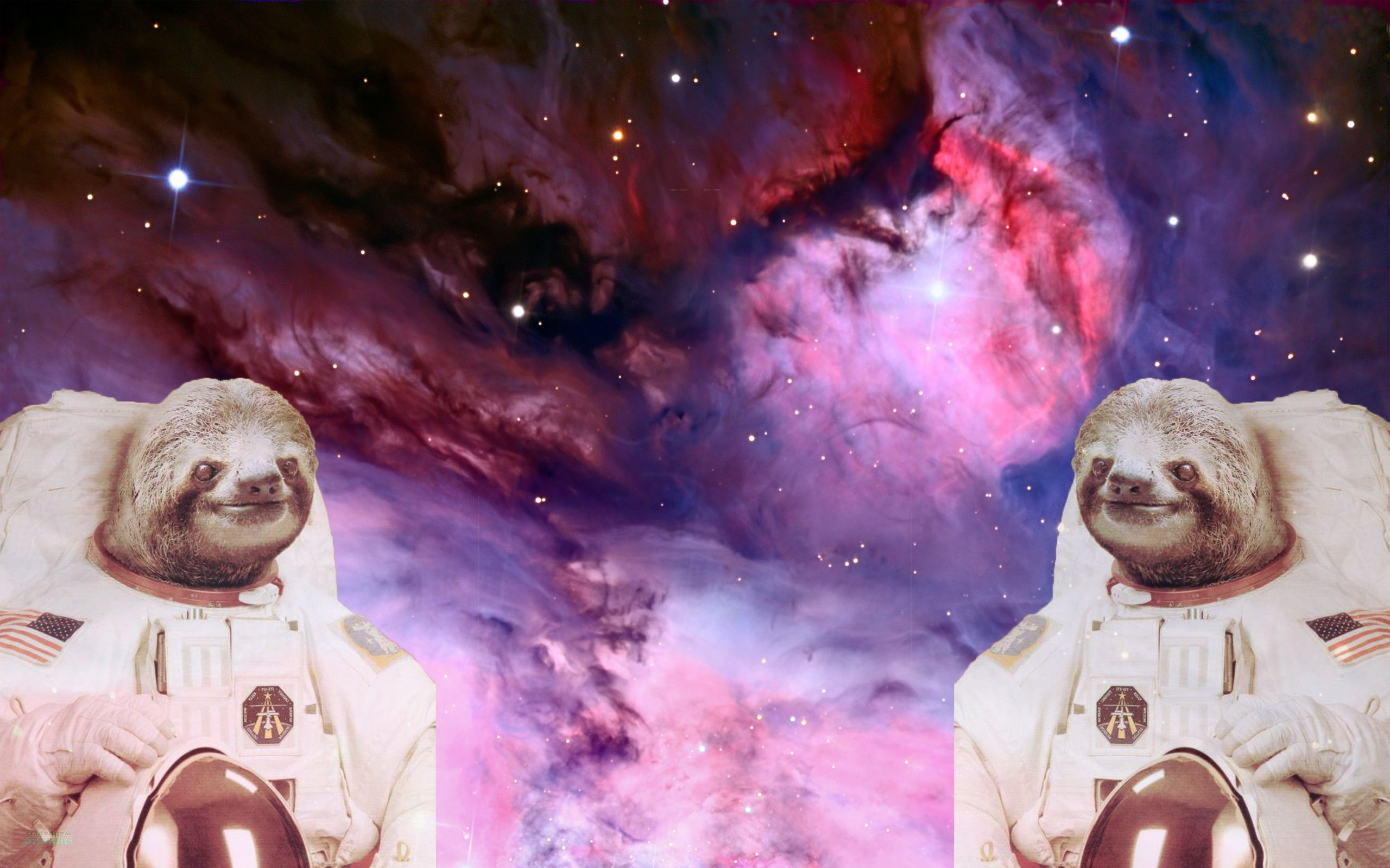 2560x1600 Free download Astronaut Sloths in Space wallpaper I made wallpapers [] for your Desktop, Mobile \u0026 Tablet | Explore 44+ Sloth Astronaut Wallpaper | Sloth Sunglasses Wallpaper, Sloth Wallpapers, Slothstronaut Wallpaper