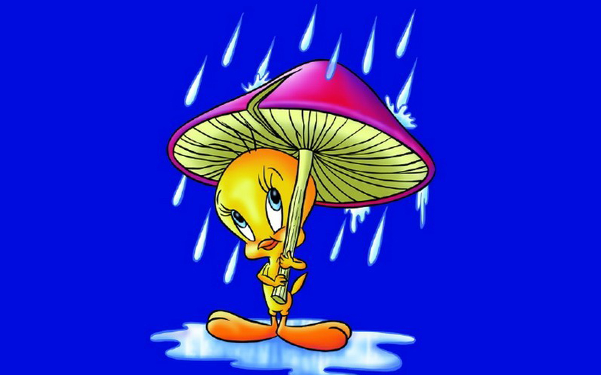 1920x1200 Cartoon Tweety Bird Rain Umbrella Mushroom Blue Desktop Wallpaper Background :