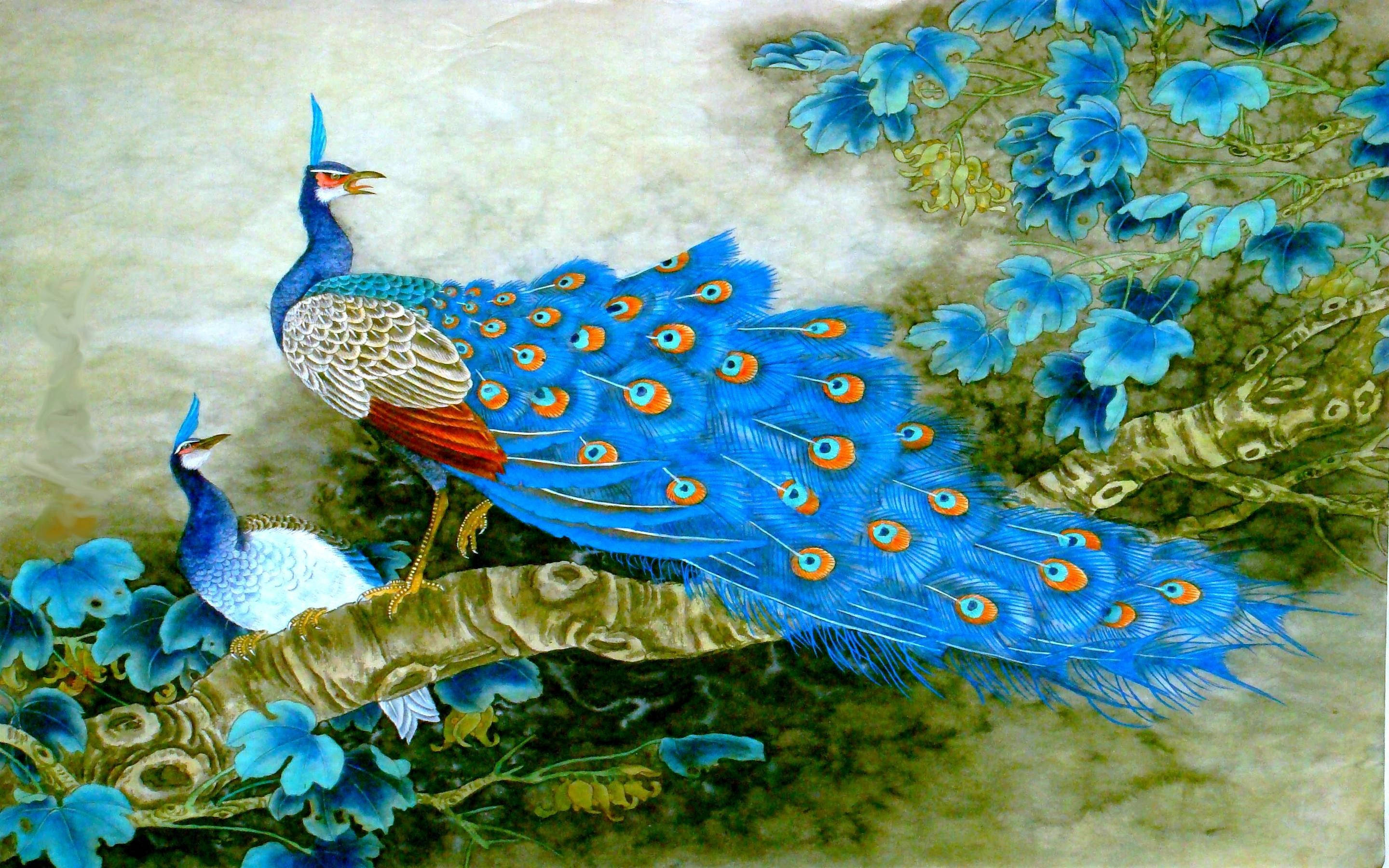 2880x1800 Download Peacock Wallpaper