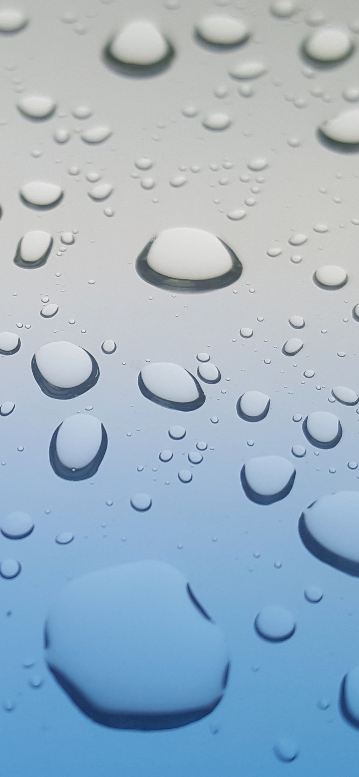 1242x2688 Rain Drops Surface 4k Iphone XS MAX HD 4k Wallpapers, Images, Backgrounds, Photos and Pictures