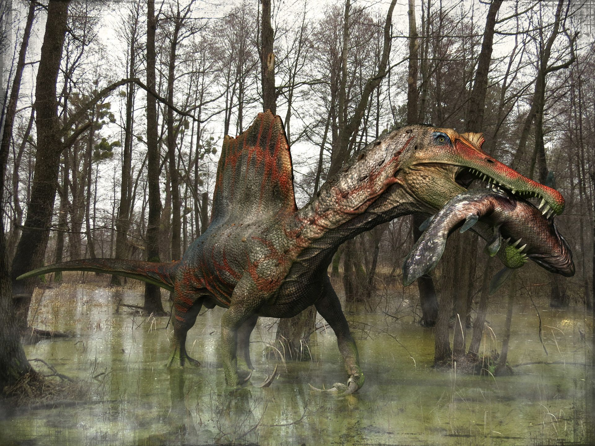 1920x1440 ArtStation Spinosaurus, Jin Kyeom Kim | Spinosaurus, Prehistoric animals, Prehistoric creatures