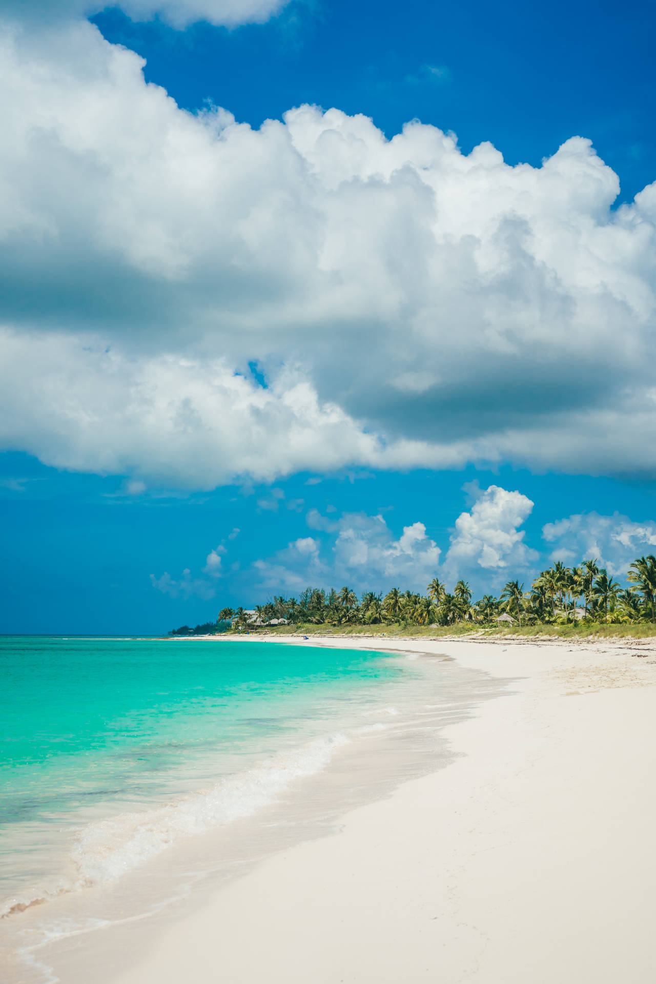 1280x1920 Download Bahamas White Sand Beach Wallpaper