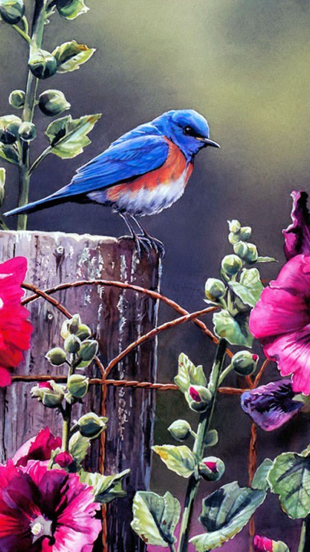 1080x1920 Spring Flowers and Birds Wallpapers Top Free Spring Flowers and Birds Backgrounds