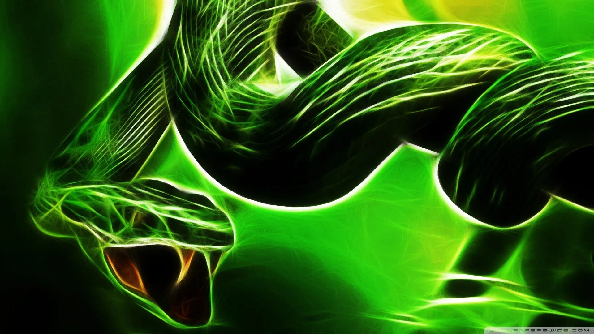 1920x1080 Neon Snake Wallpapers Top Free Neon Snake Backgrounds