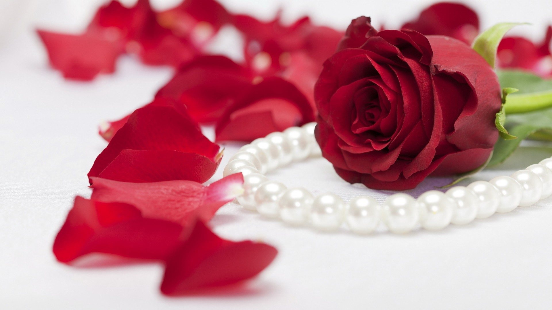 1920x1080 Red Rose Pearls [1920 x 1080