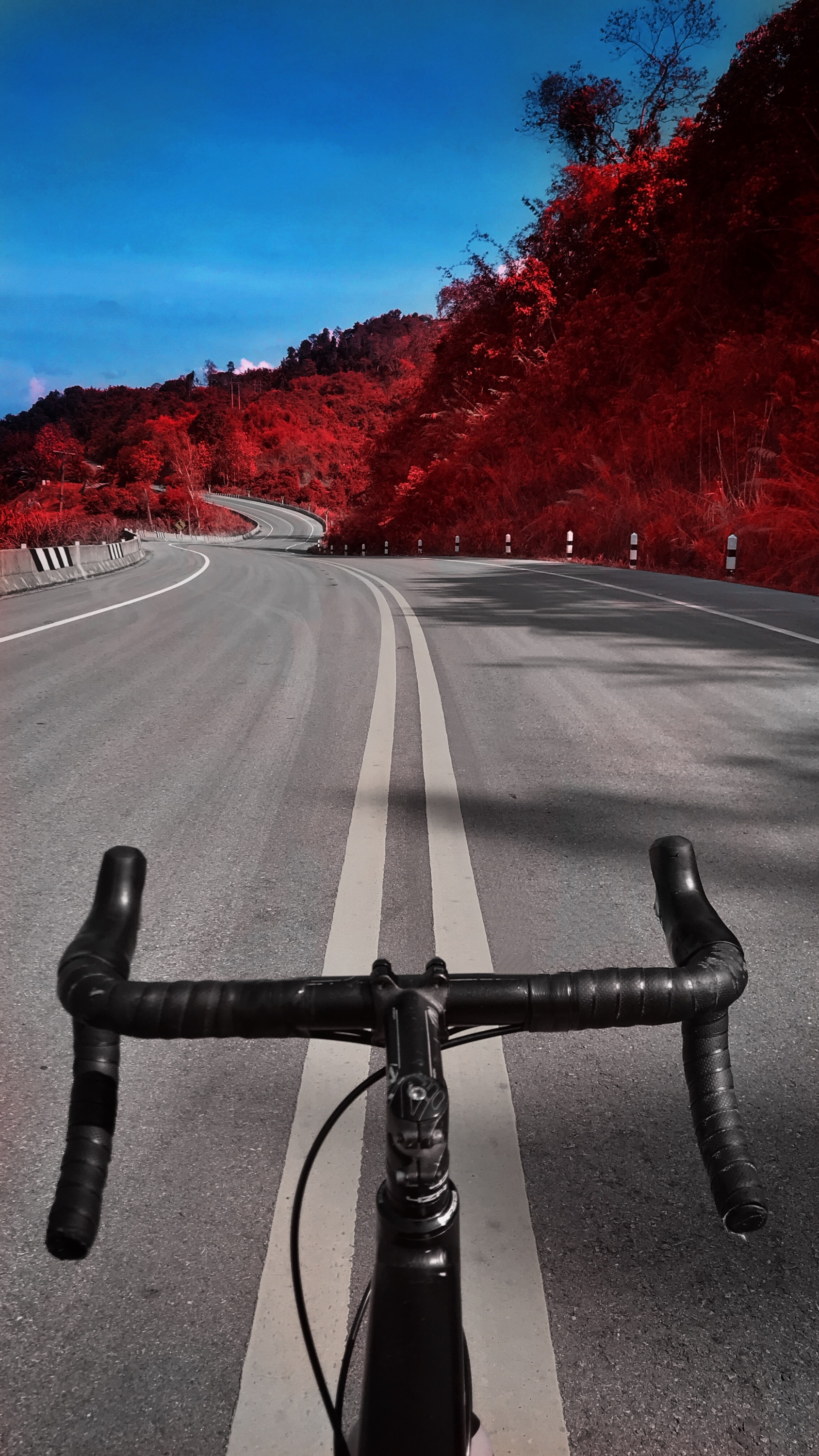 1688x3000 Mobile Mastery: Better Cycling Images With Your Phone Bicycling Australia