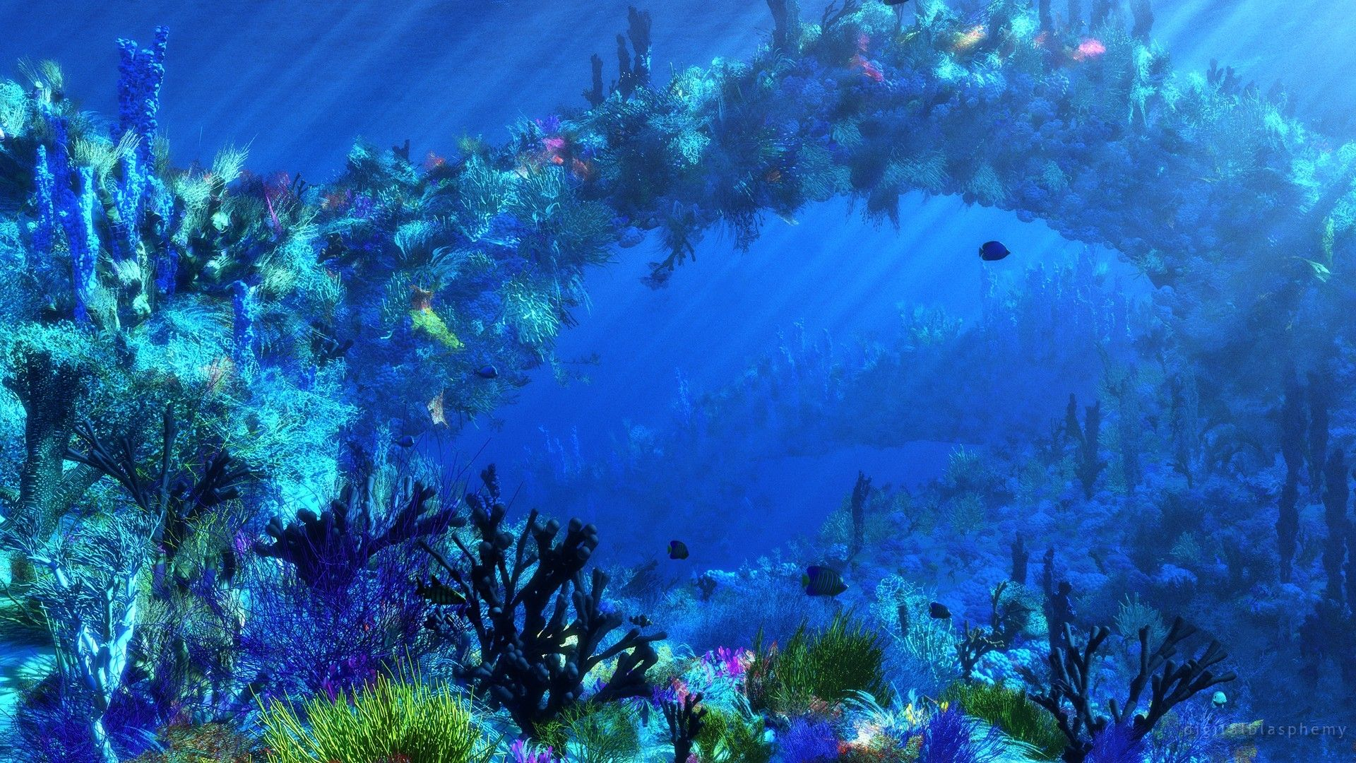 1920x1080 Tropical Underwater Wallpapers Top Free Tropical Underwater Backgrounds
