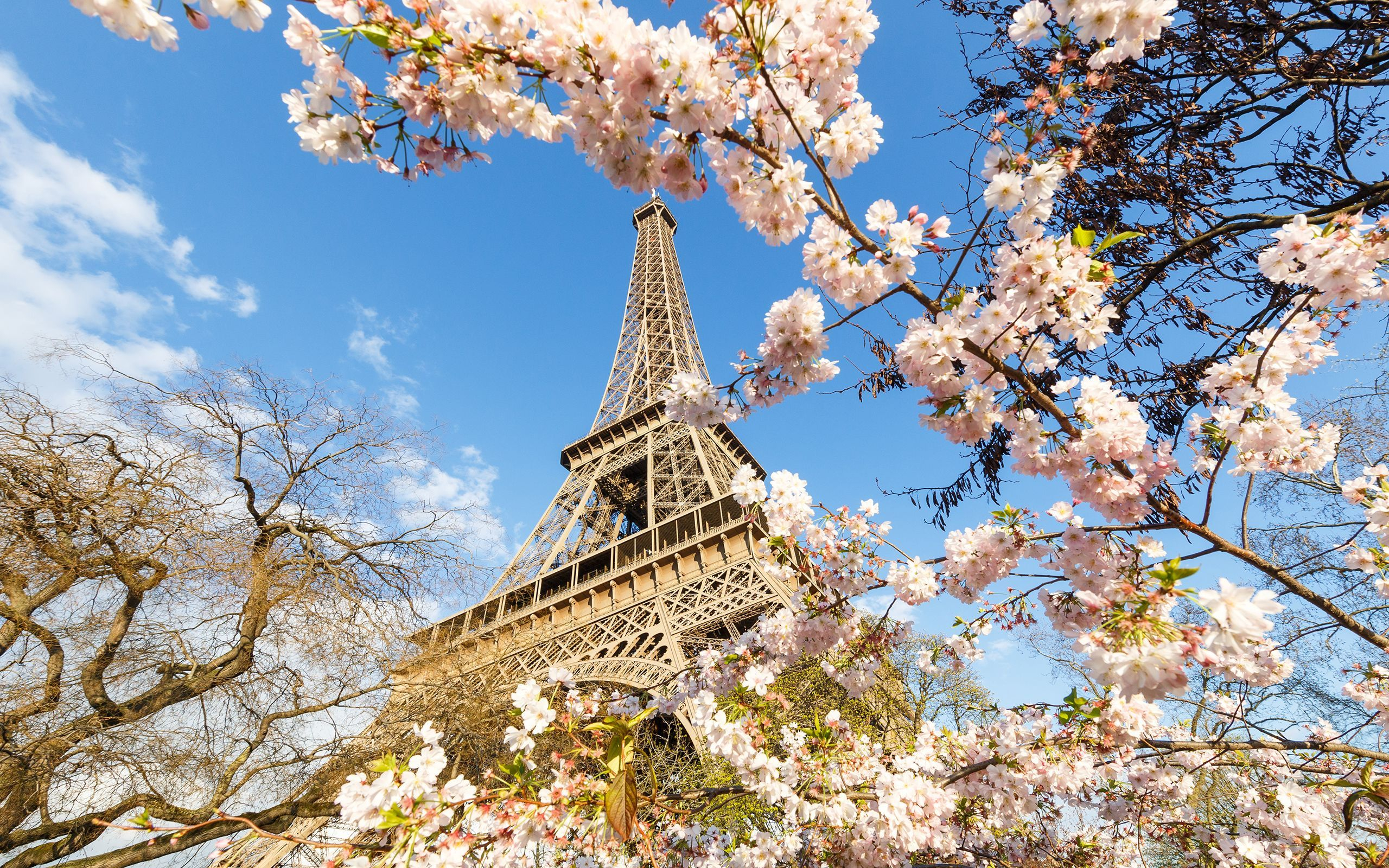 2560x1600 Paris in Spring Wallpapers Top Free Paris in Spring Backgrounds