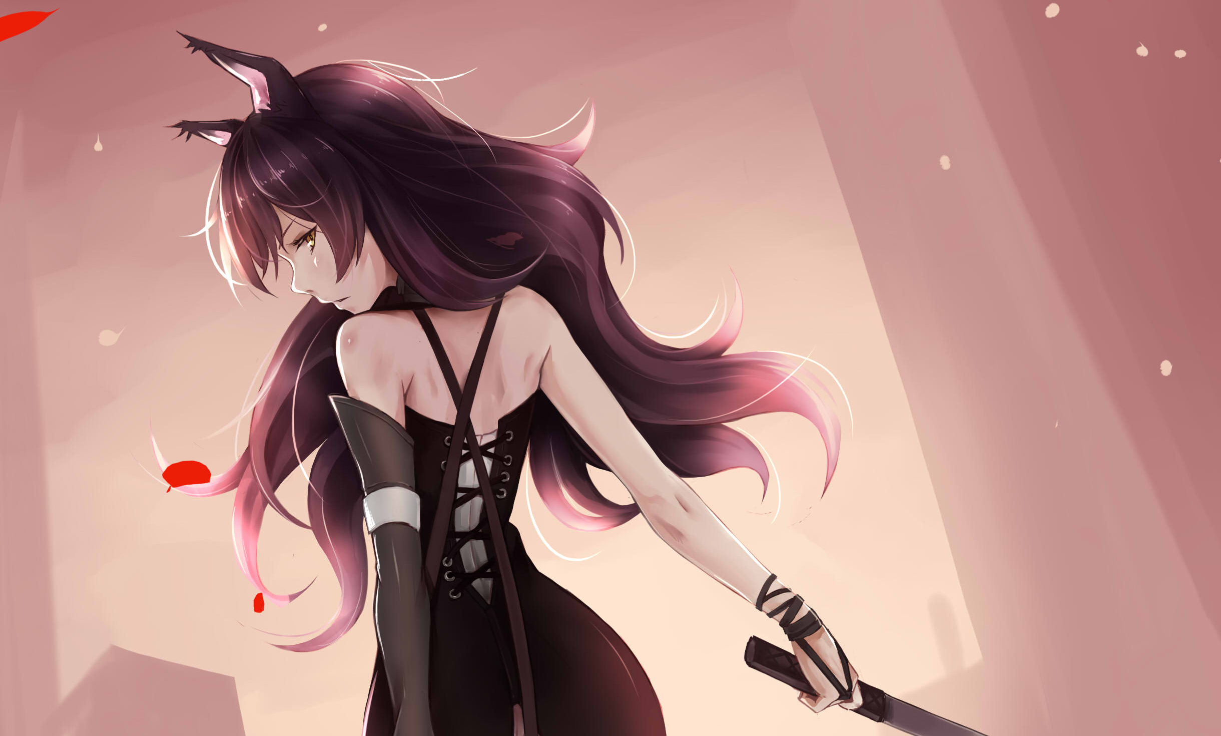 2440x1470 490+ Anime RWBY HD Wallpapers and Backgrounds