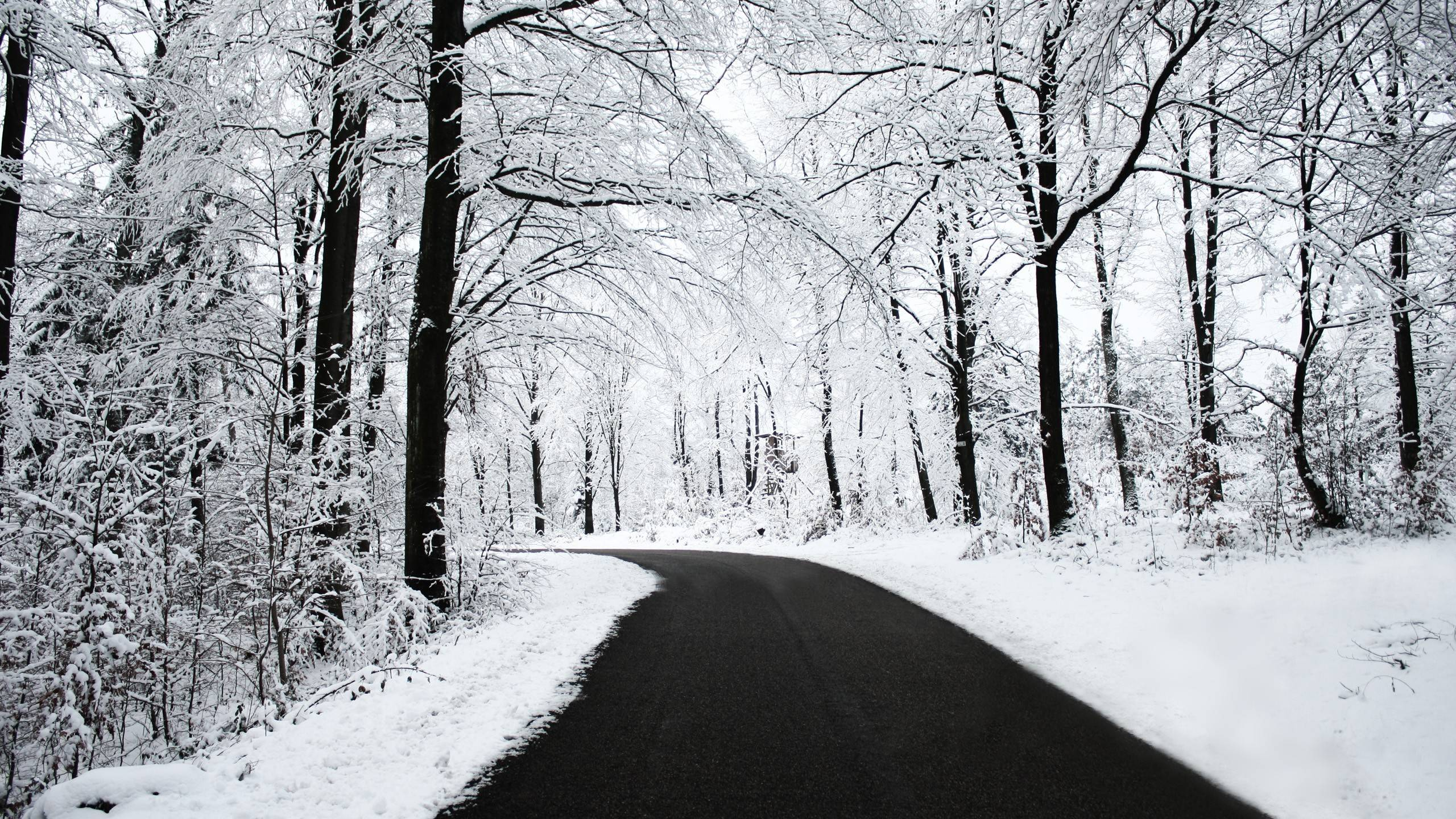 2560x1440 Snowy Road Wallpapers Top Free Snowy Road Backgrounds
