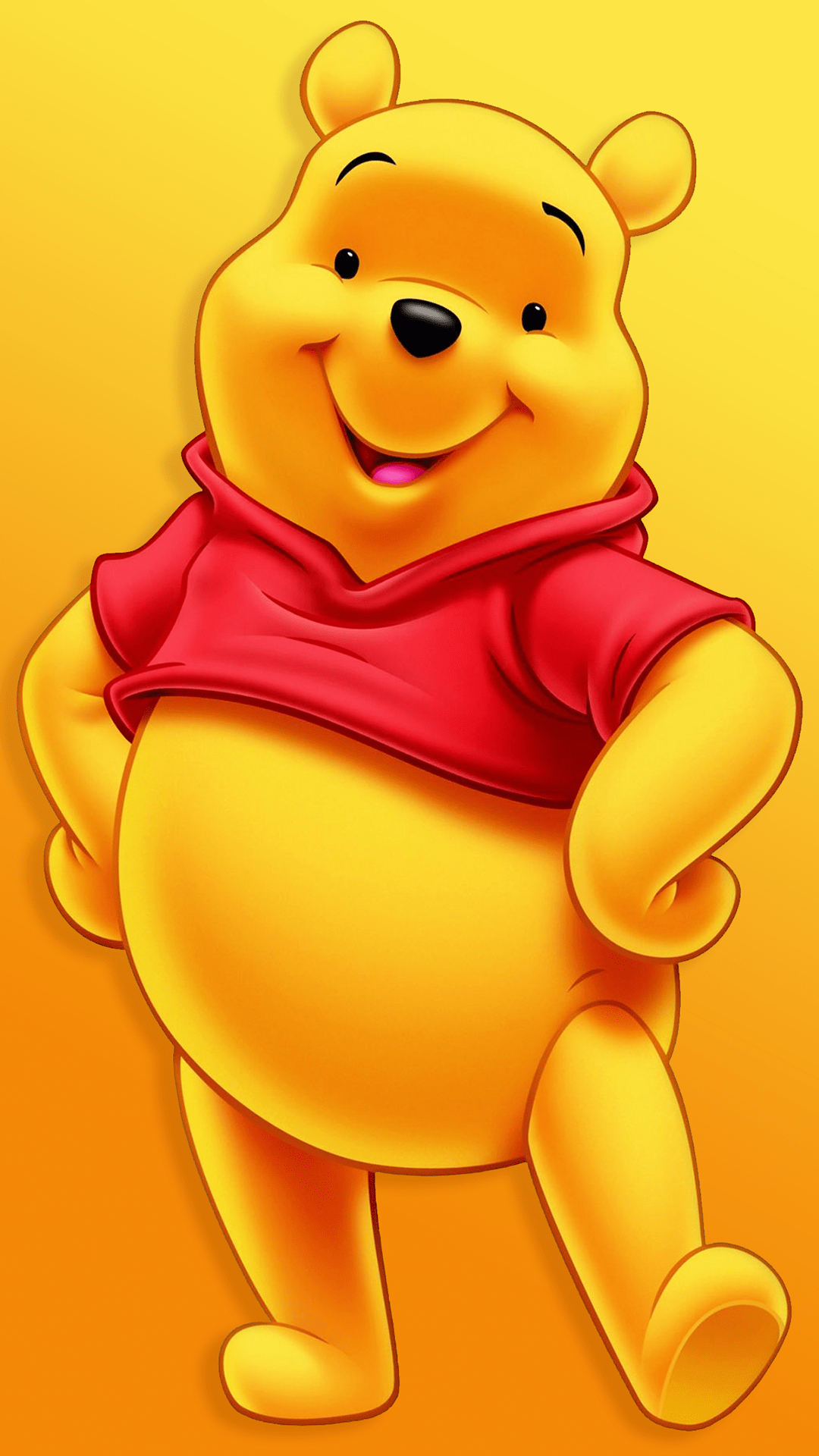 1080x1920 Winnie The Pooh Wallpaper