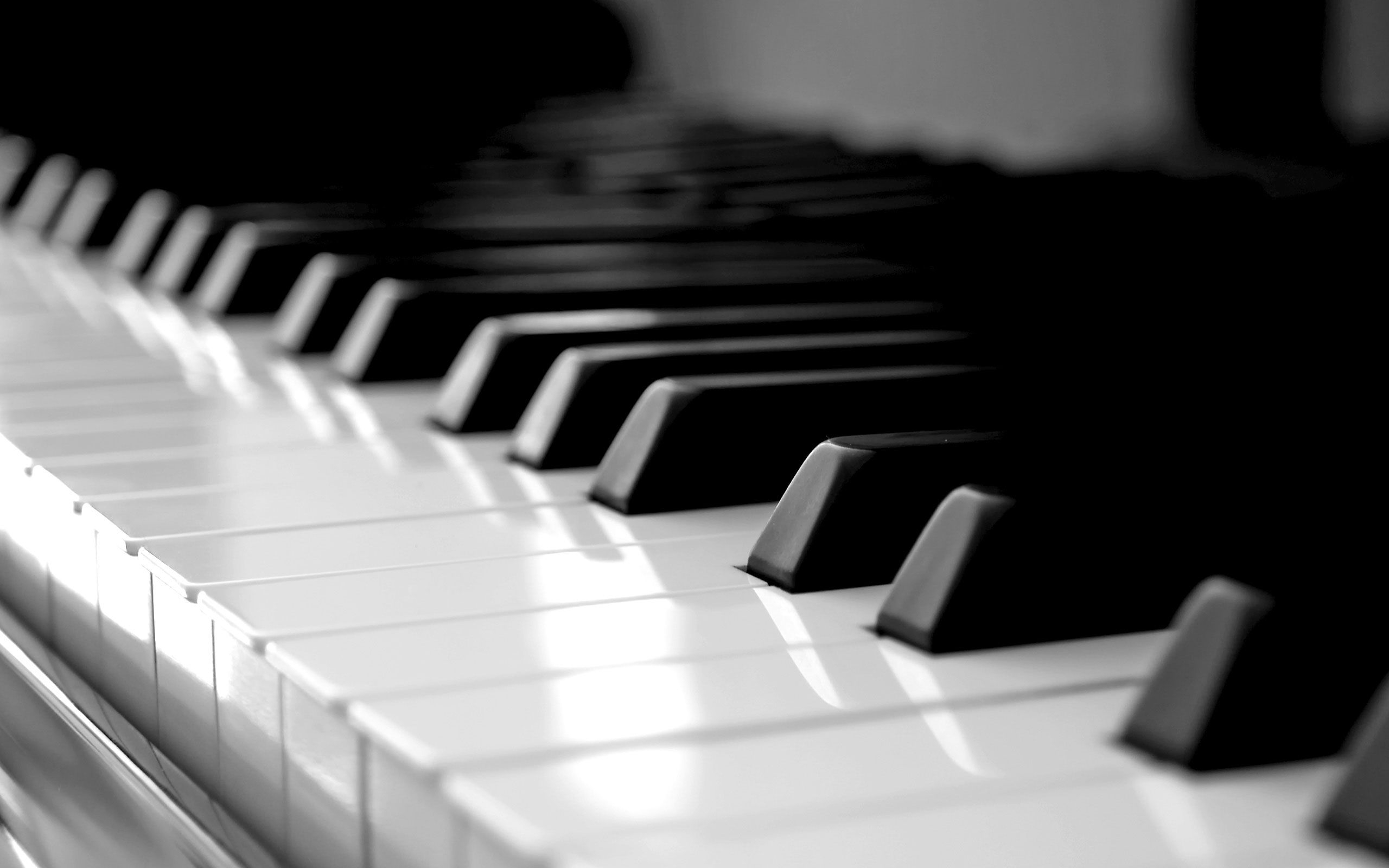 2560x1600 piano keyboard Google Search | Clases de piano, Piano, Piano wallpaper