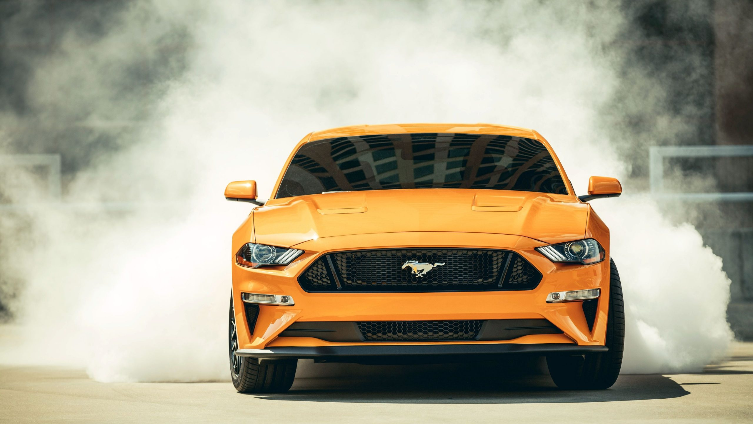 2560x1440 2018 Ford Mustang Wallpapers