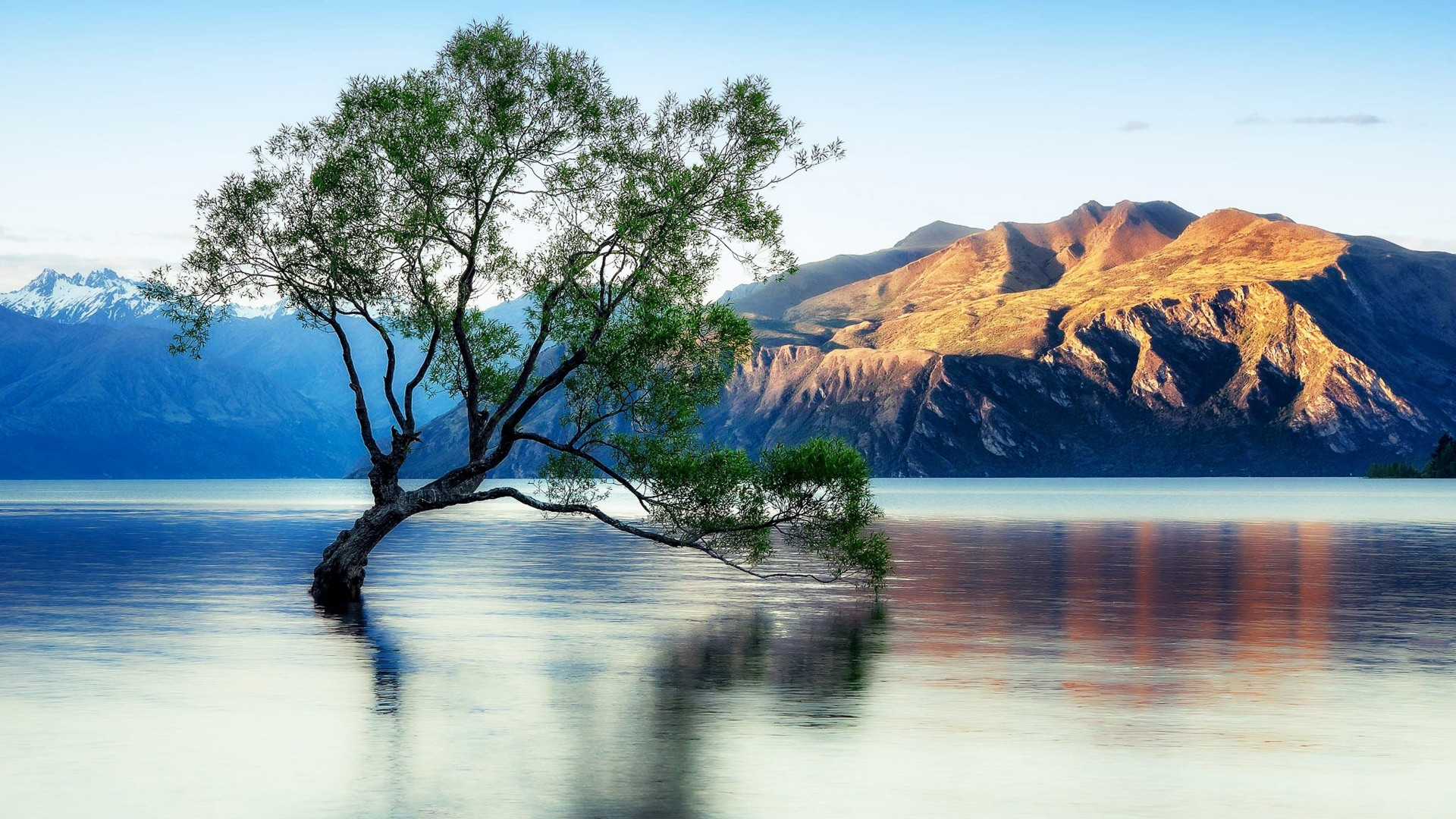 1920x1080 Lake Wanaka Beautiful Reflection New Zealand KDE Store