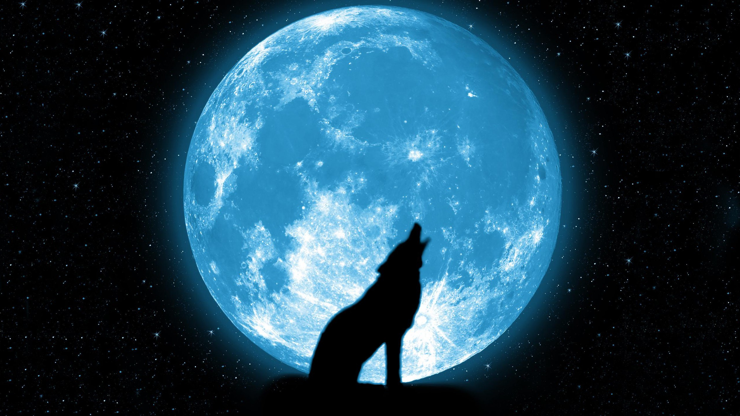 2560x1440 wolf, Howling, Stars, Beautiful, Silhouette, Space, Sky Wallpapers HD / Desktop and Mobile Backgrounds