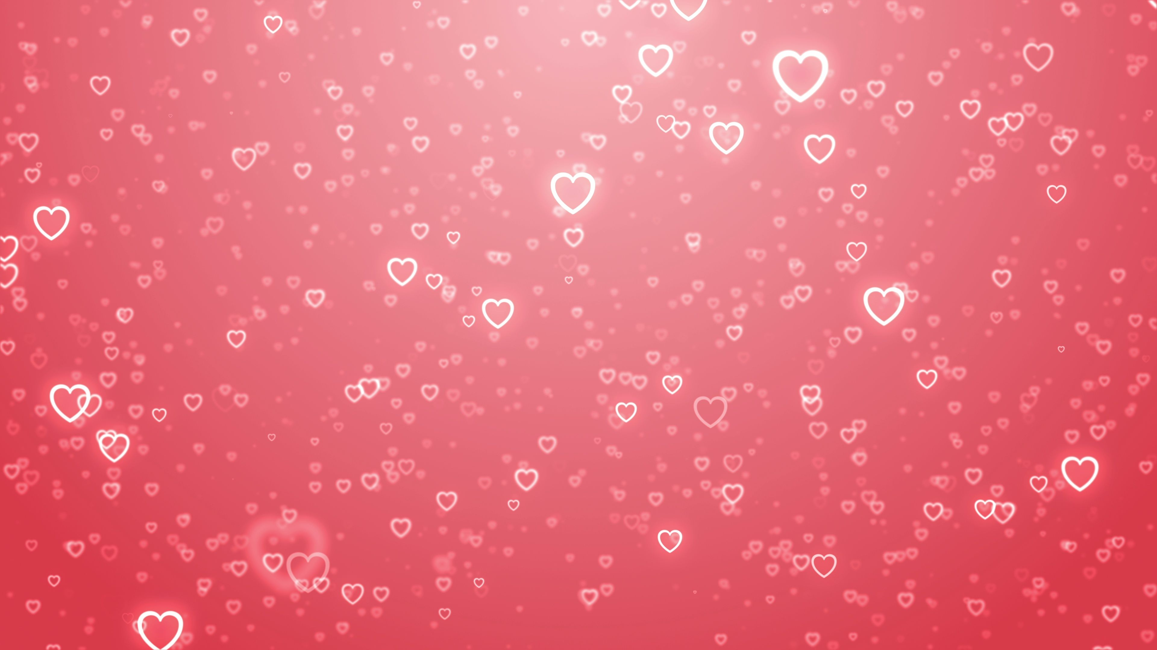 Wedding Anniversary Wallpapers and Backgrounds 4K, HD, Dual Screen
