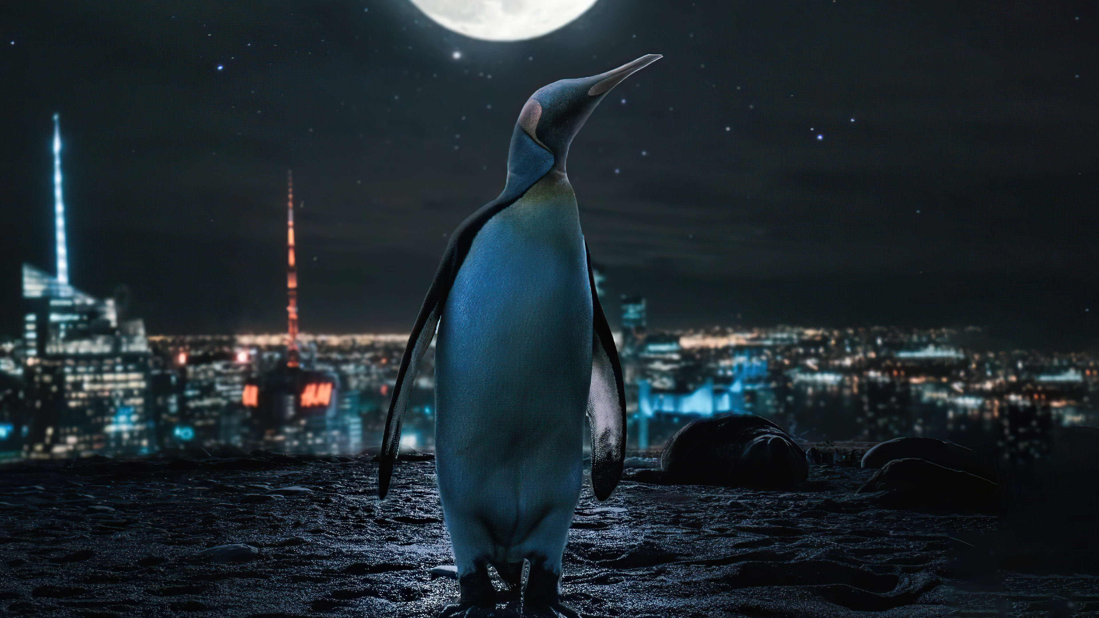 3840x2160 Penguin Moon Night 4k, HD Artist, 4k Wallpapers, Images, Backgrounds, Photos and Pictures