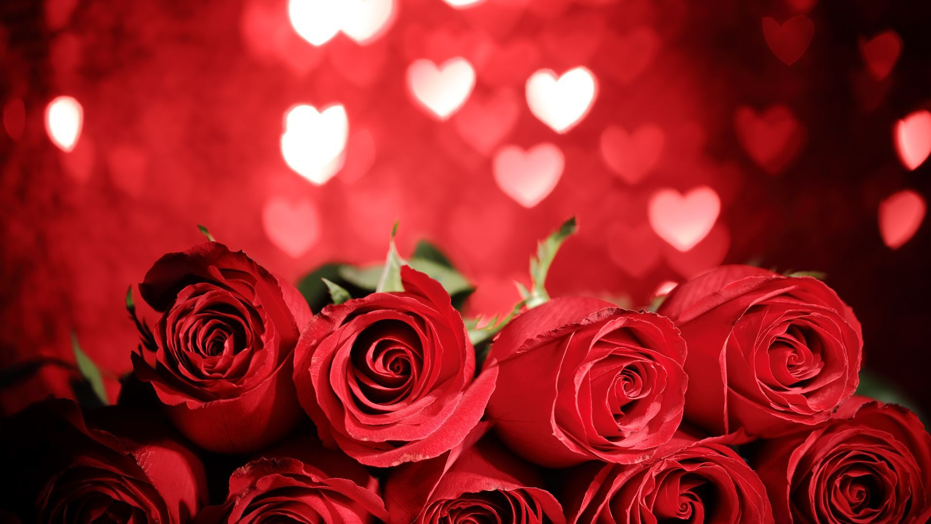 1920x1080 Red Rose With Hearts Free Download Image | Rose rosse, Giorno di san valentino, Bouquet di rose rosse