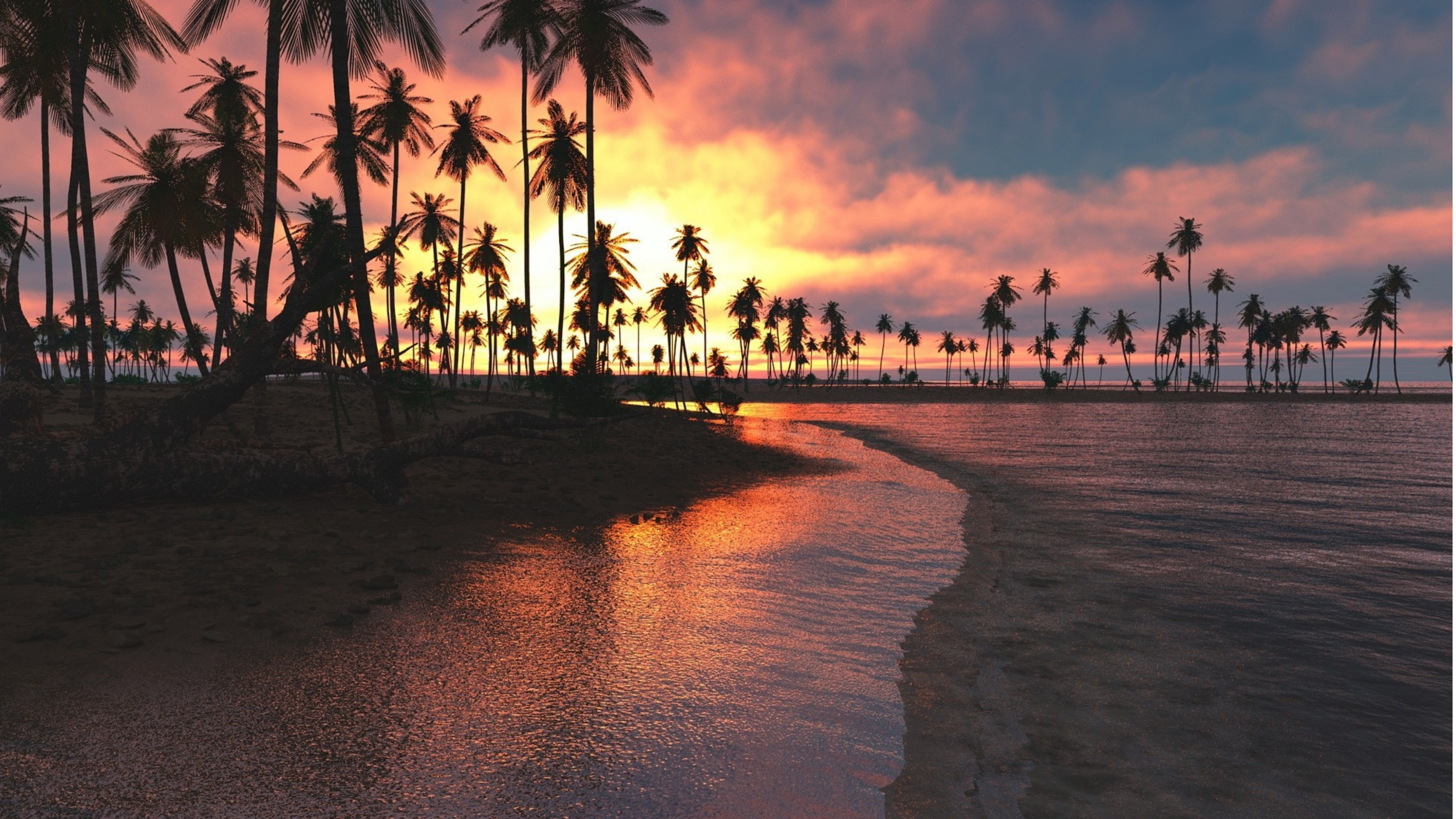 3840x2160 Palm trees augment the beauty of sunset! [38402160] | Tree desktop wallpaper, Beach wallpaper, Landscape