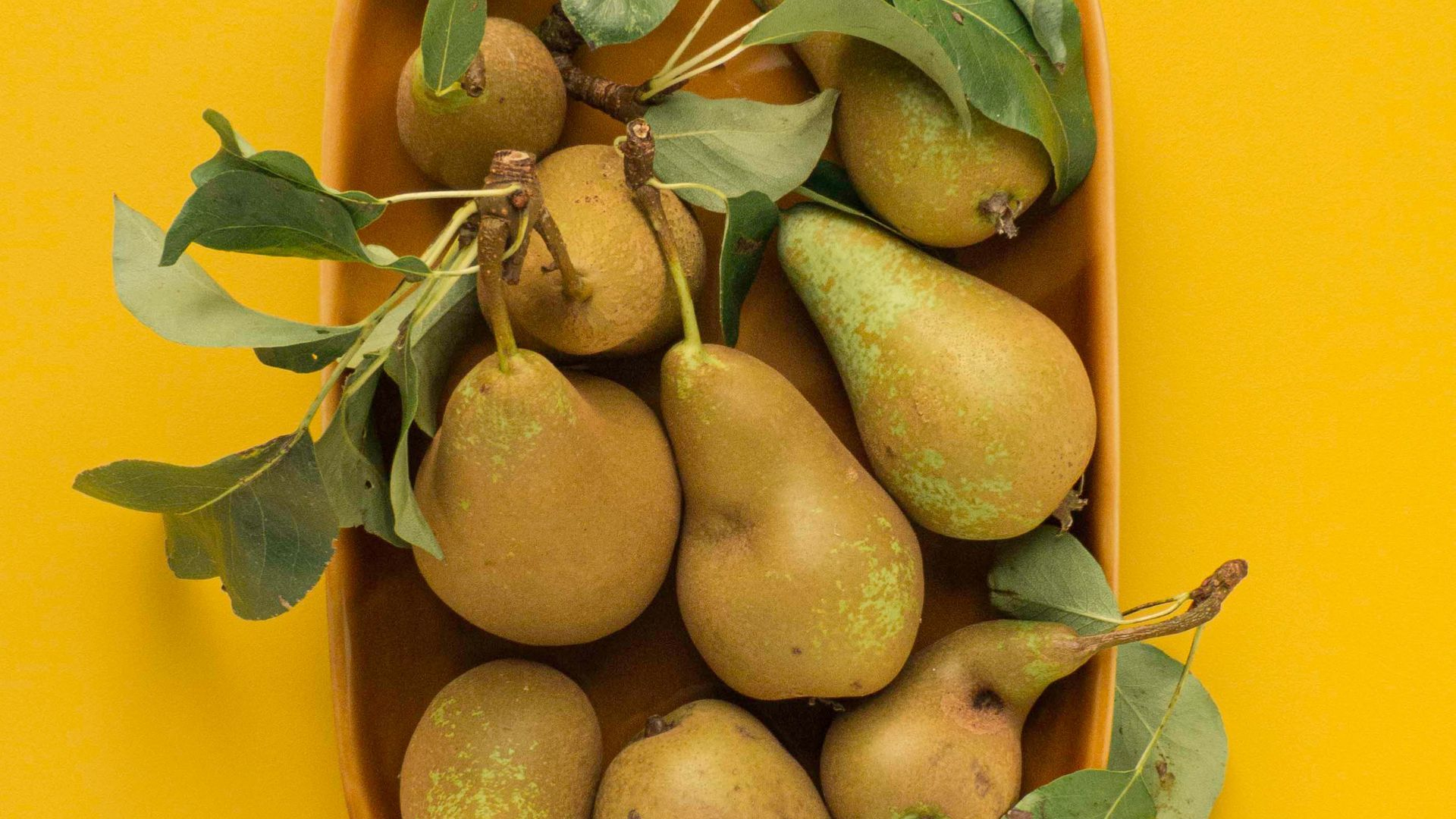 1920x1080 Wallpaper ripe pears leaves fruit | Fruit, Pear, Wallpaper