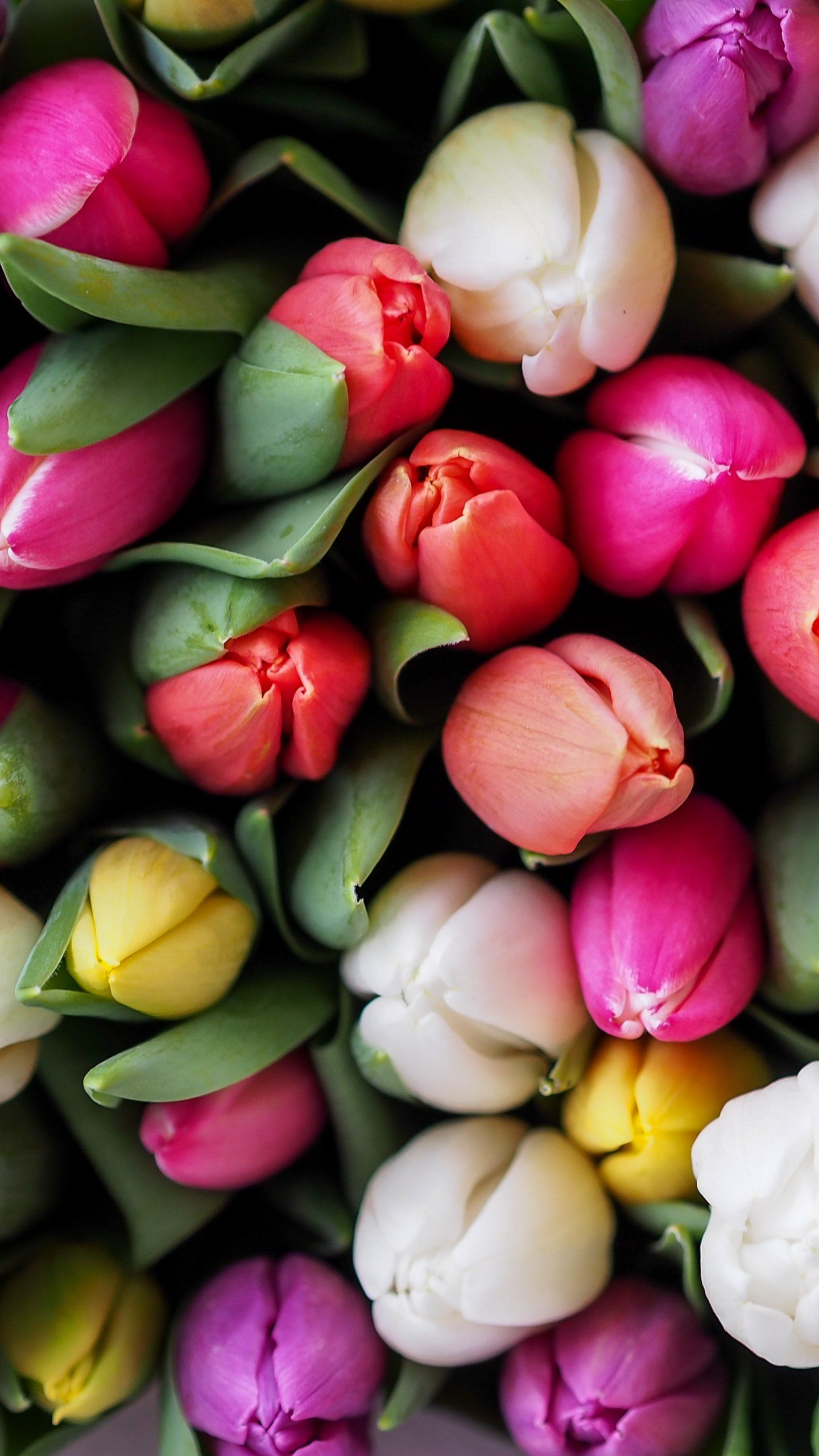 1440x2560 Tulips Bouquet Wallpaper iPhone, Android \u0026 Desktop Backgrounds | Spring flowers background, Flower background wallpaper, Flower backgrounds