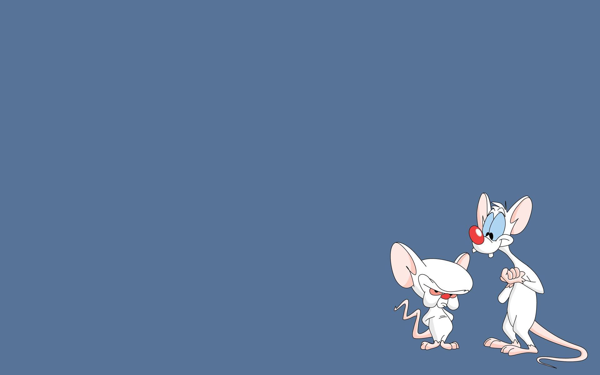 1920x1200 pinky, And, The, Brain Wallpapers HD / Desktop and Mobile Backgrounds