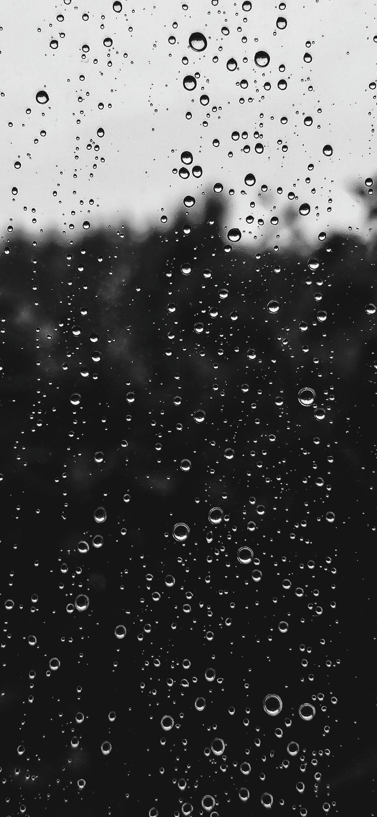 1242x2688 Raindrops Wallpaper for iPhone 11, Pro Max, X, 8, 7, 6 Free Download on 3Wallpapers