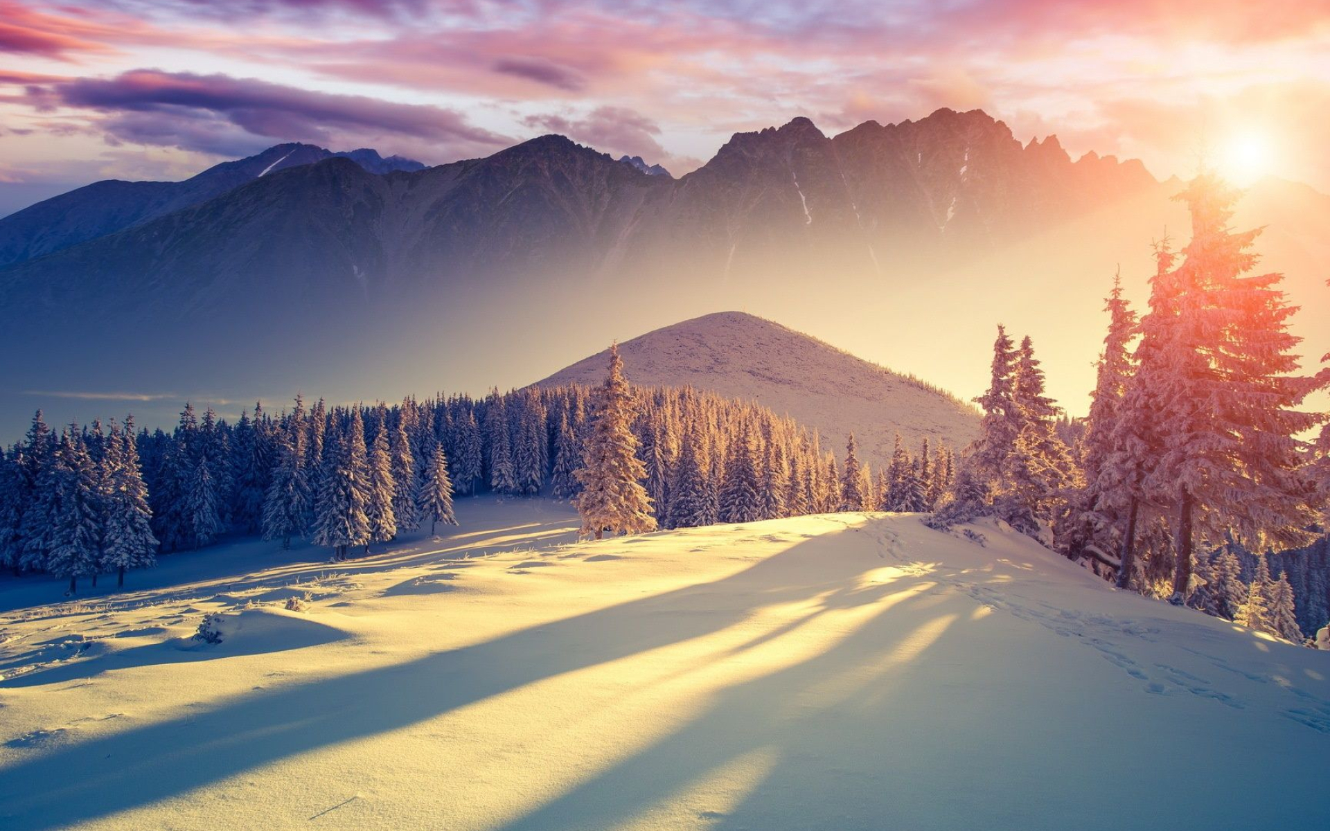 1920x1200 HD Winter Wallpapers Top Free HD Winter Backgrounds