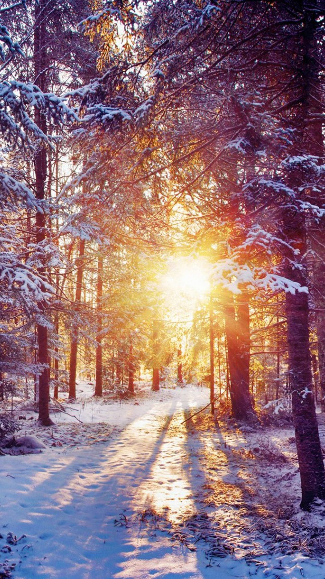 1080x1920 Winter Forest Dawn Landscape iPhone 6 Wallpaper Download | iPhone Wallpapers, iPad wa&acirc;&#128;&brvbar; | Iphone wallpaper winter, Landscape wallpaper, Beautiful landscape wallpaper