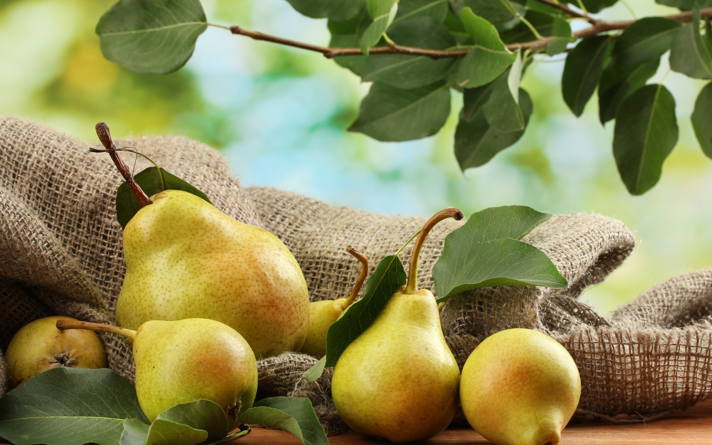 2880x1800 40+ Pear HD Wallpapers and Backgrounds