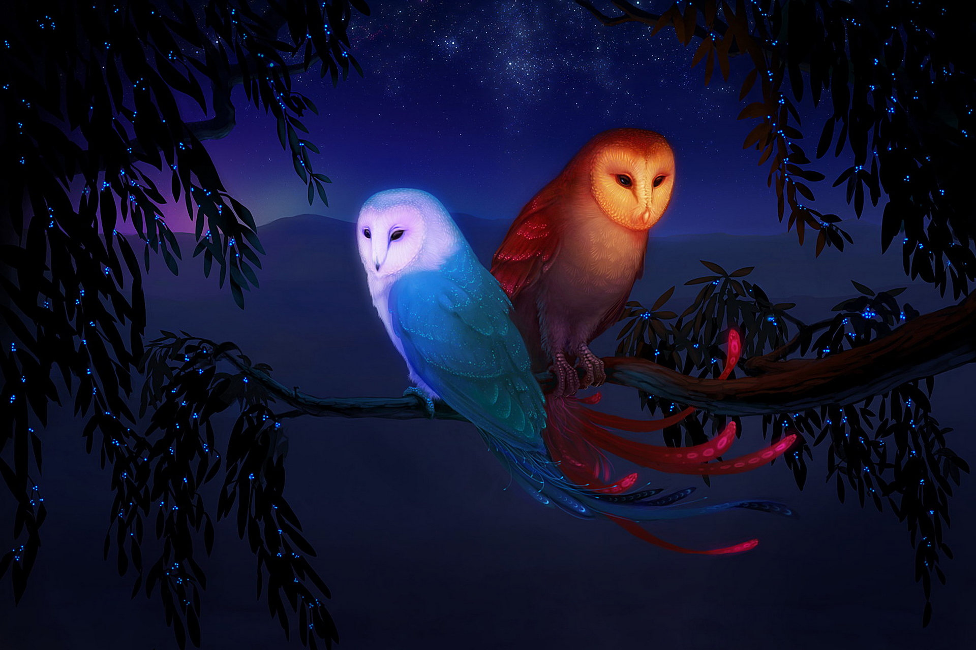 1920x1280 1200+ Owl HD Wallpapers and Backgrounds