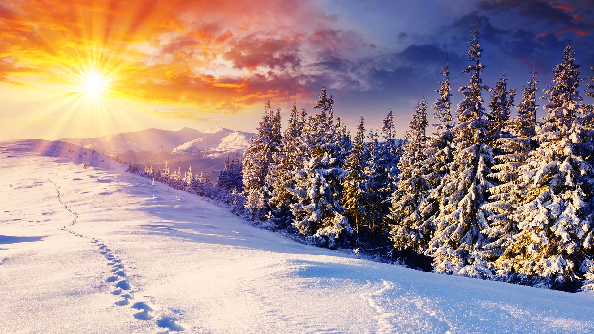 1920x1080 Winter Sun Wallpapers Top Free Winter Sun Backgrounds