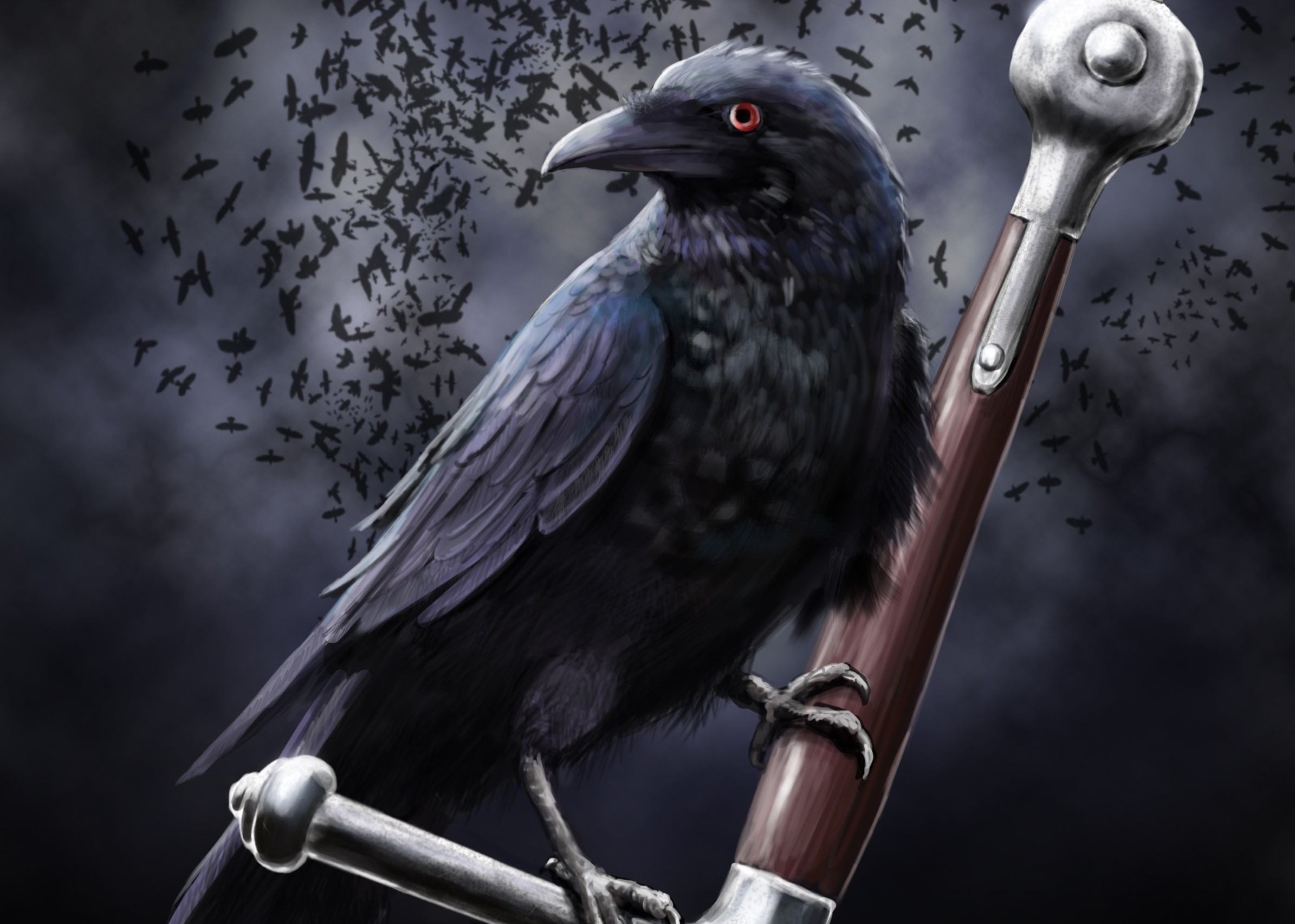 2390x1705 110+ Raven HD Wallpapers and Backgrounds