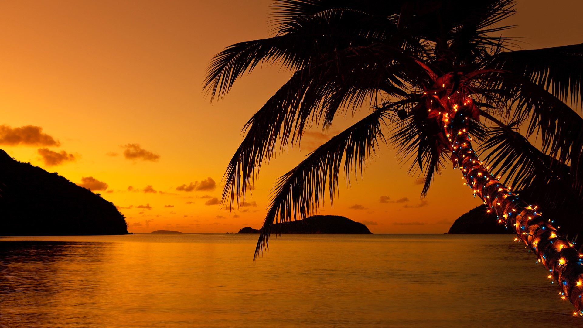 1920x1080 Christmas lights on a palm tree at the Caribbean beach at sunset | Windows 10 Spotlight Images