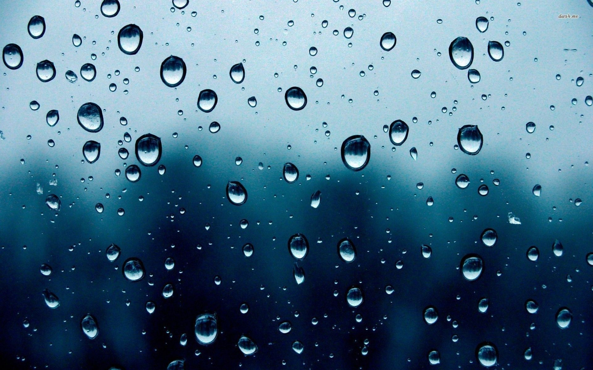 1920x1200 Raindrops Wallpapers Top Free Raindrops Backgrounds