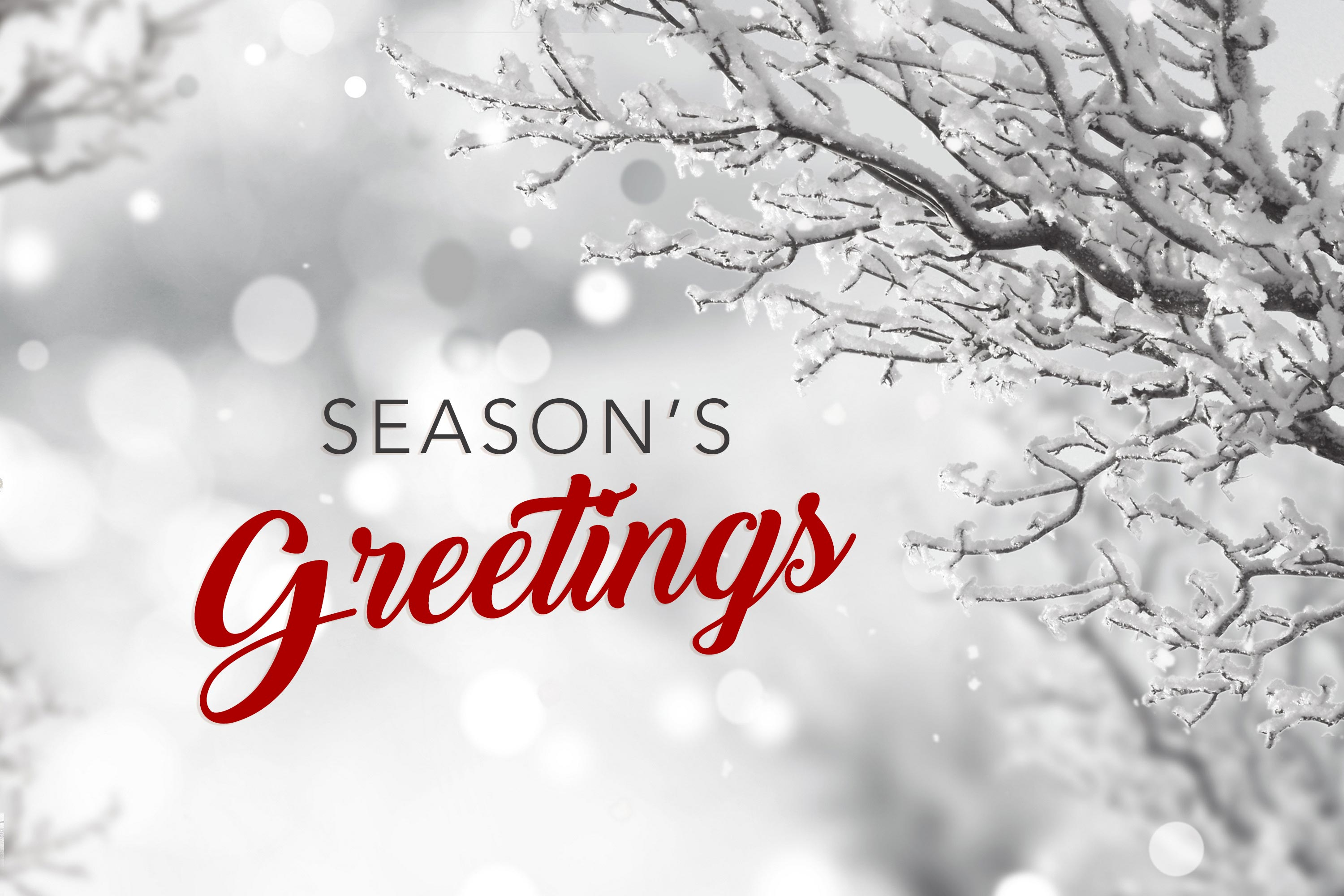 3000x2000 Free download 15 Seasons Greetings Cards Stock Images HD Wallpapers Winter [] for your Desktop, Mobile \u0026 Tablet | Explore 29+ Winter 2020 Wallpapers | 2020 Winter Wallpapers, Winter 2020 Wallpapers, Winter 2020 Hd Wallpapers