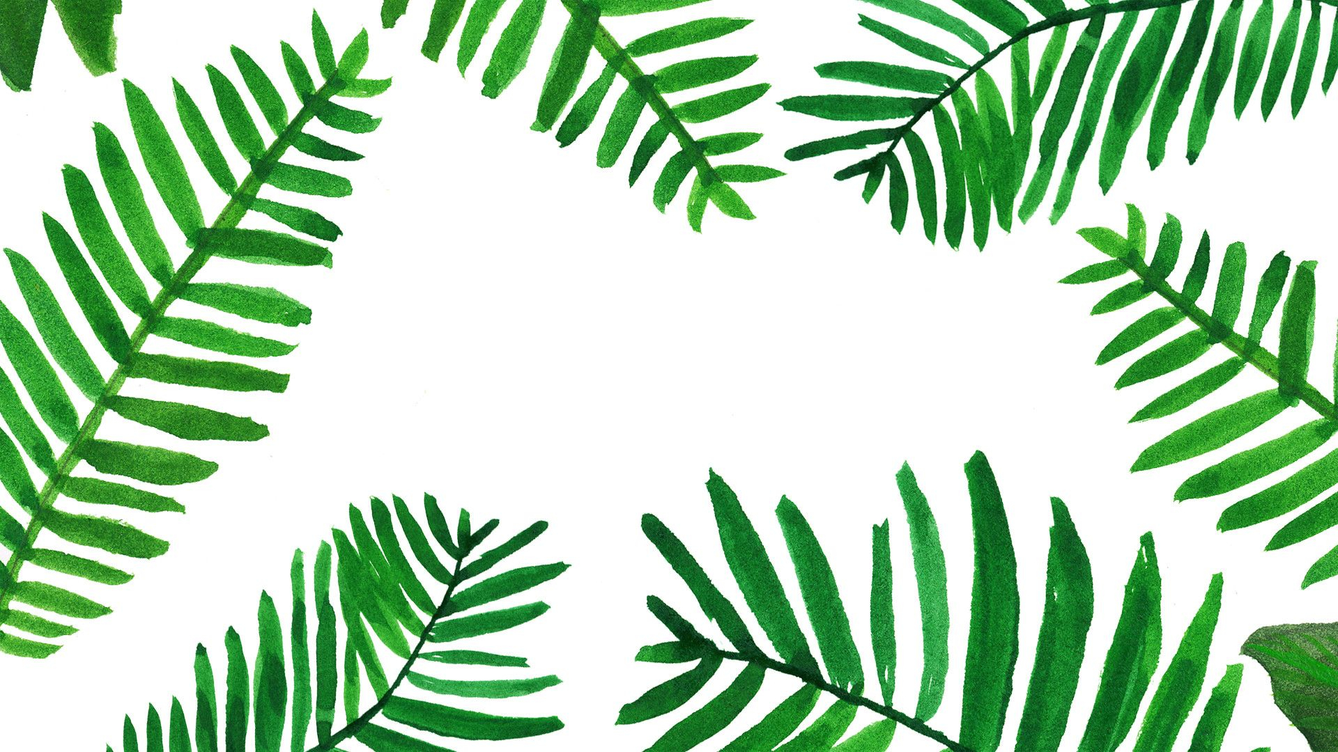 1920x1080 Tropical Leaves Desktop Wallpapers Top Free Tropical Leaves Desktop Backgrounds
