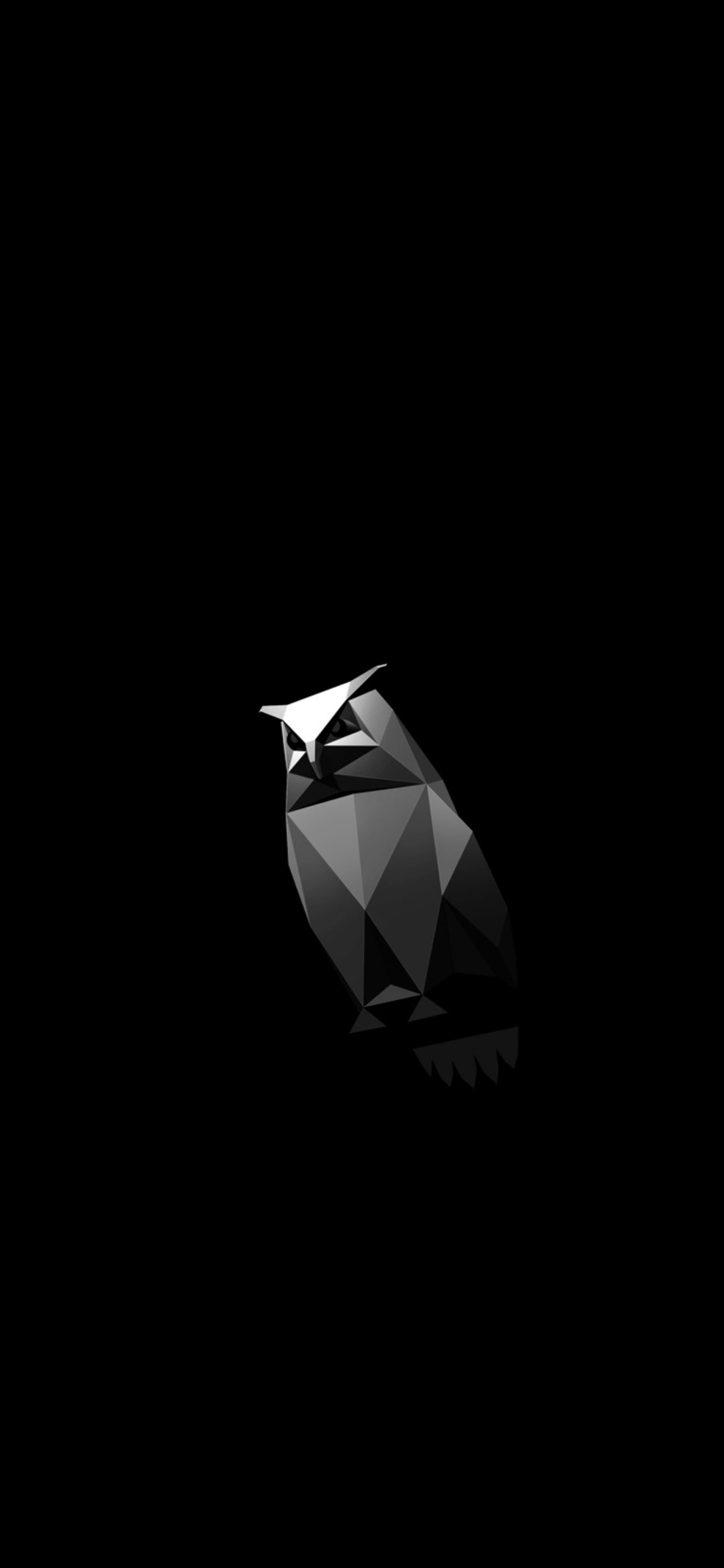 1242x2688 Animated, minimalist Cybertruck Owl iPhone wallpaper : r/teslamotors
