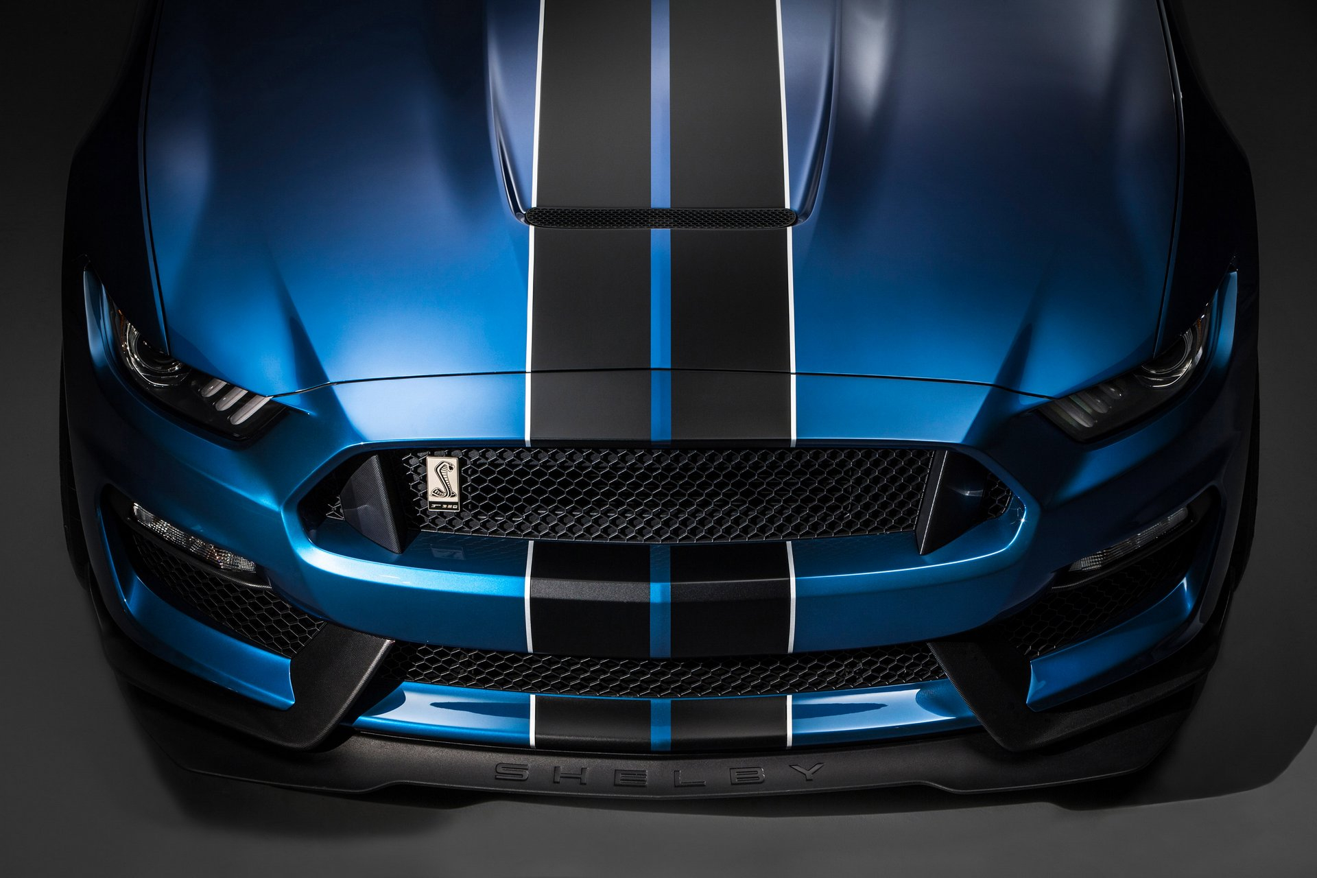 1920x1280 Ford Mustang GT350R Shelby: cavallo selvaggi