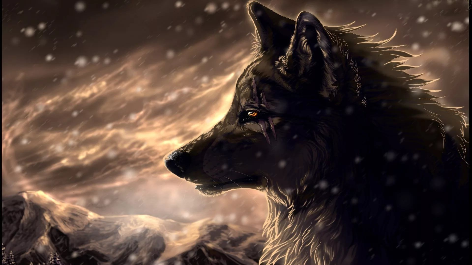 1920x1080 31 Cool Wolf Wallpapers Wallpaperboat